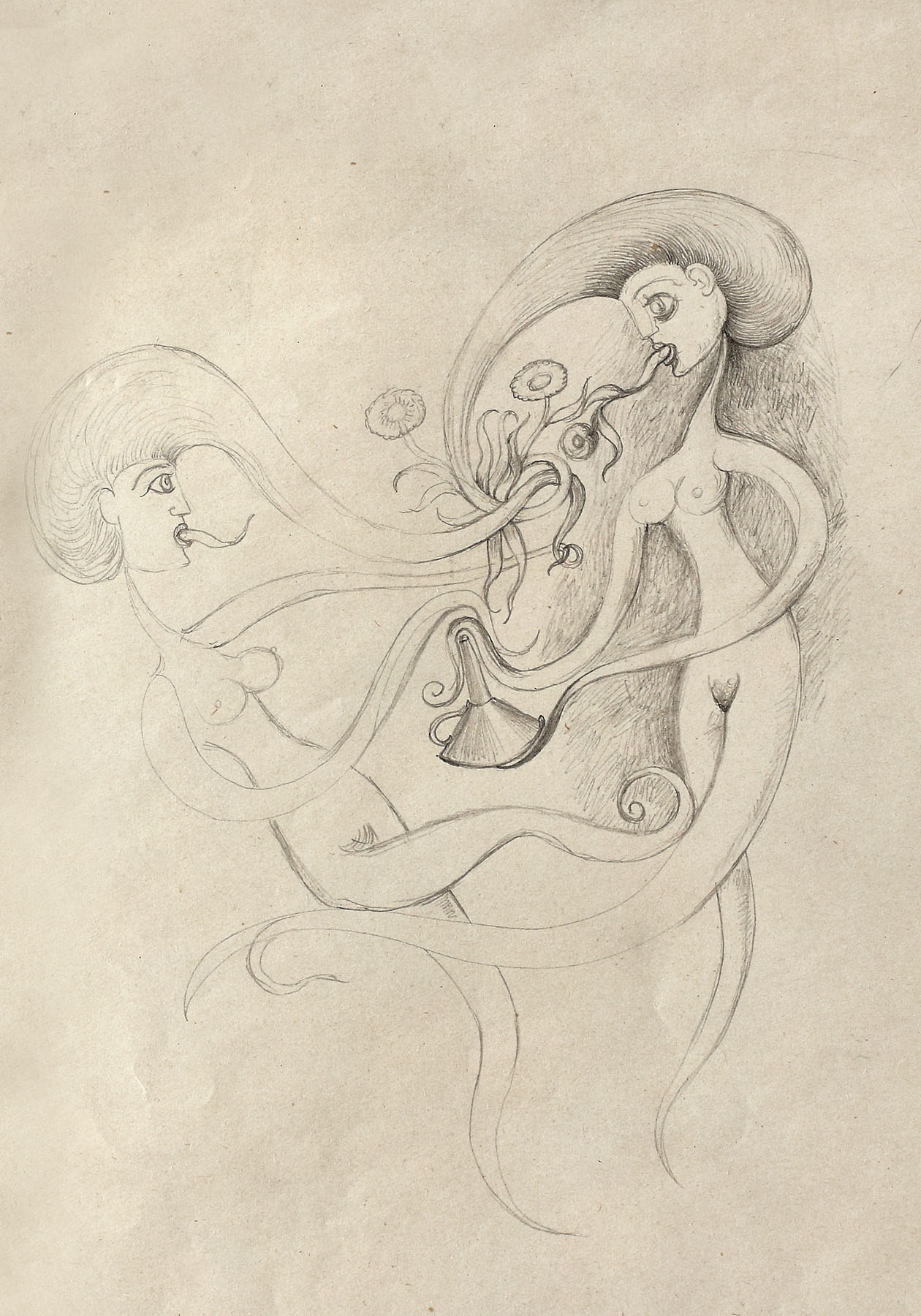 Two Chimera