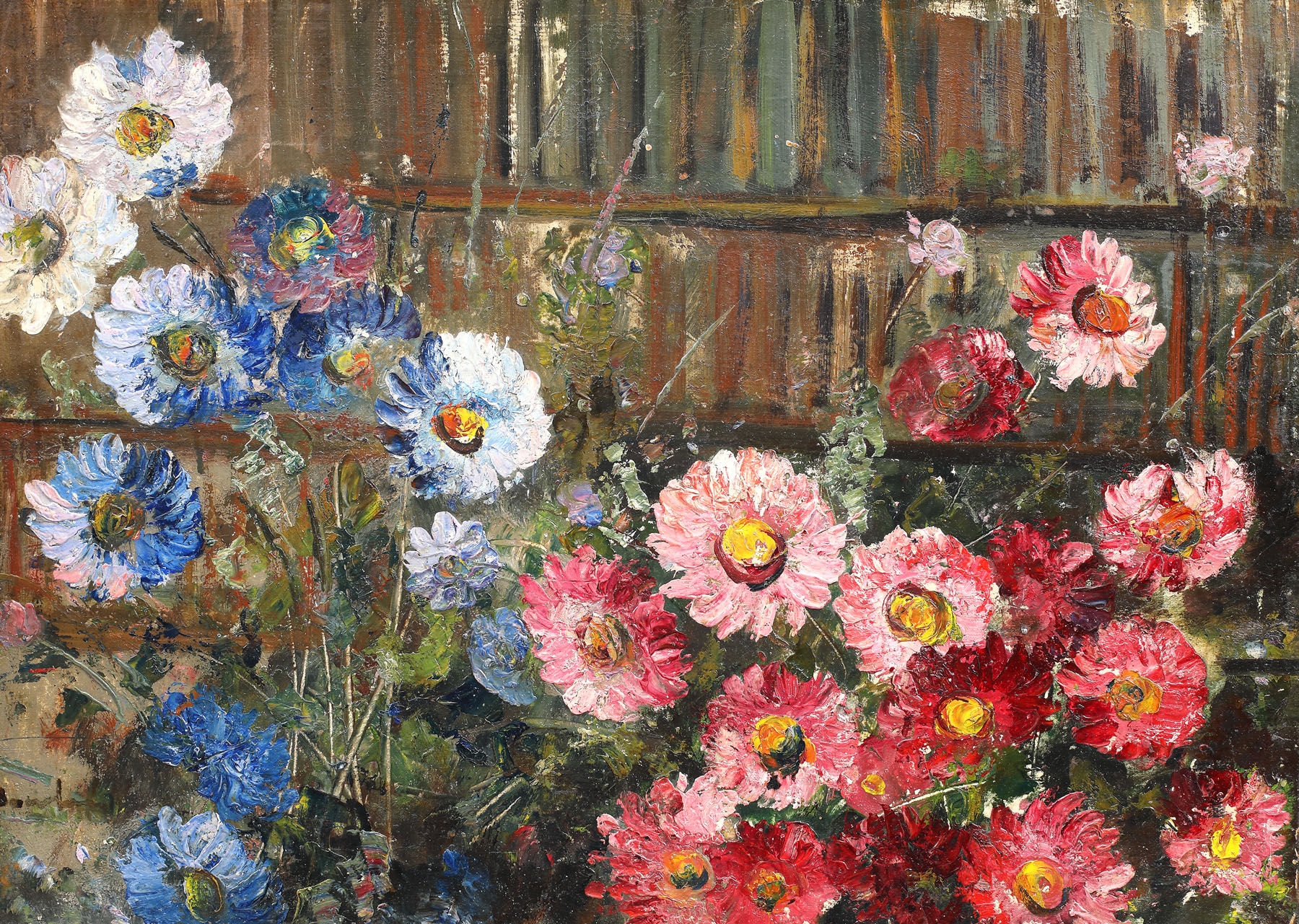Daisies in the garden