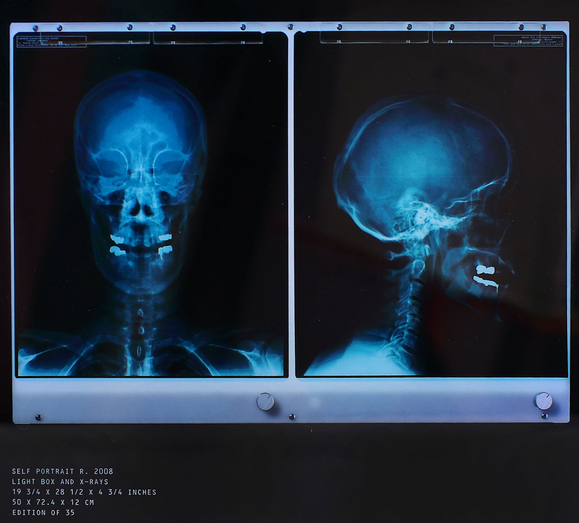 Self portrait r. 2008