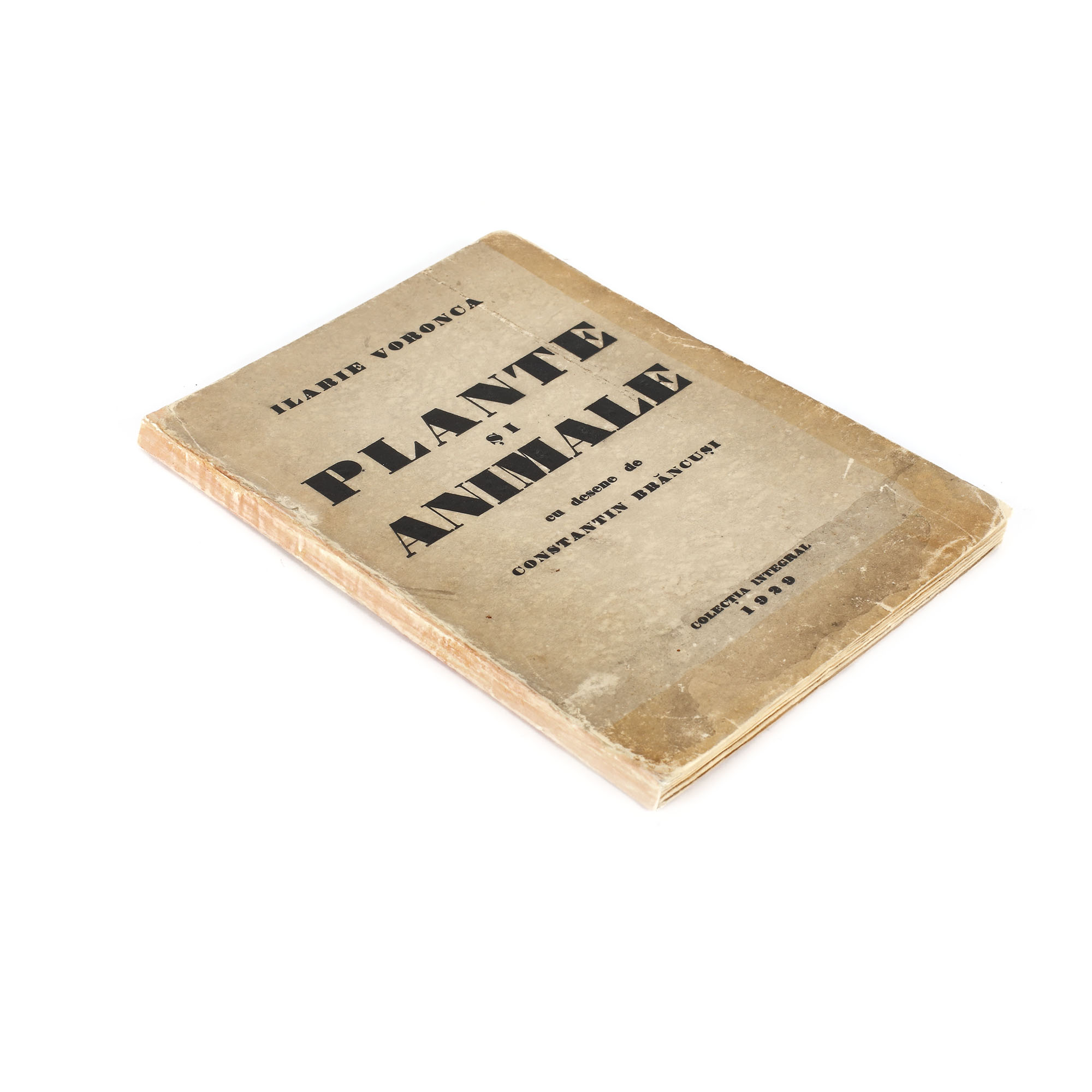 "Plants and animals, by Ilarie Voronca, 1929, with drawings by Constantin Brâncu?i