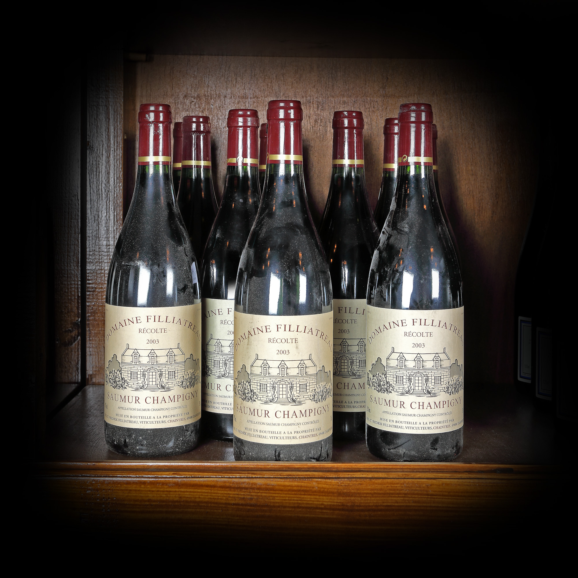 Saumur Champigny, Domaine Filliatreau, 2003, 12b x 0.75l