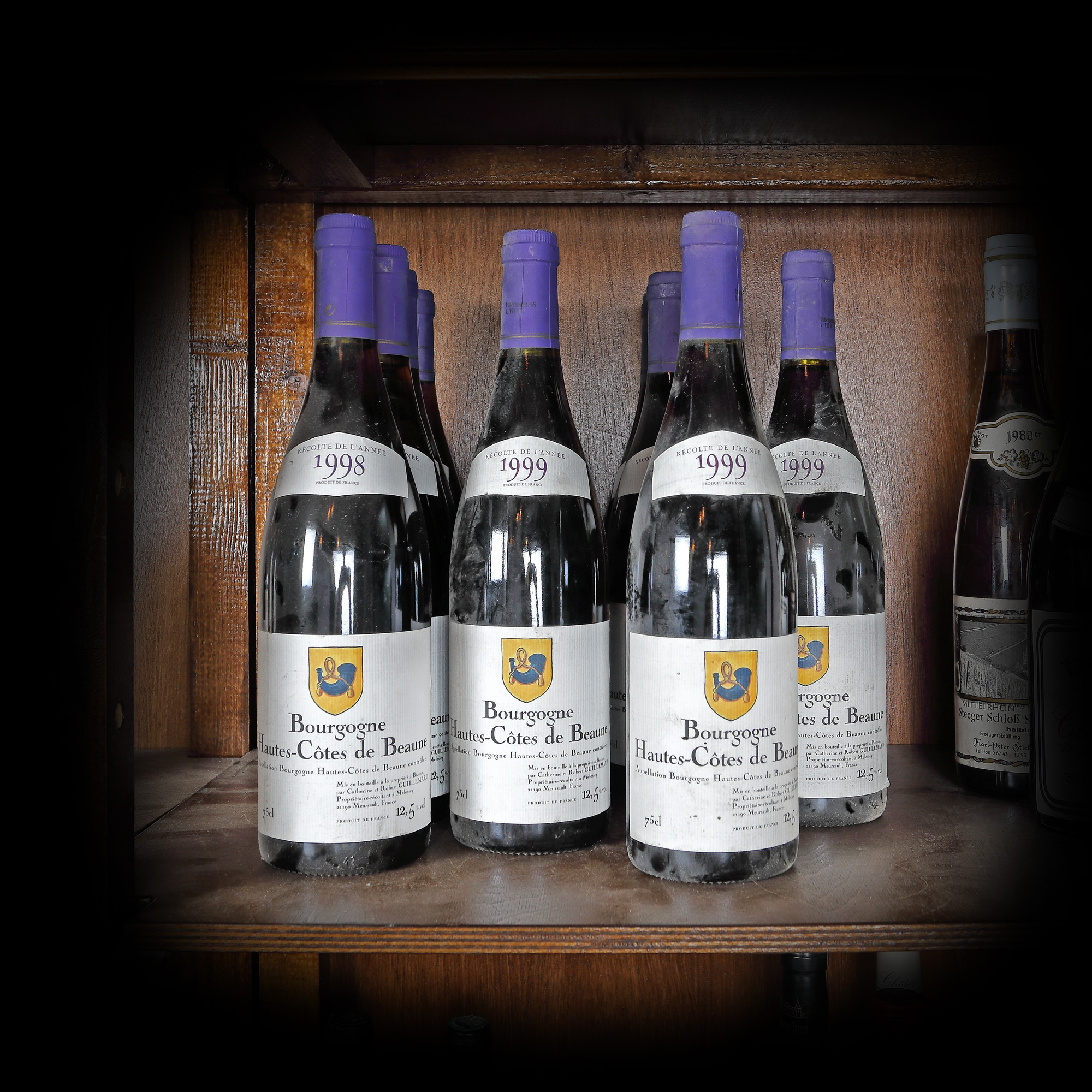 Lot format din vinuri Hautes Côtes de Beaune, Bourgogne, 1998/1999, 11st x 0,75l