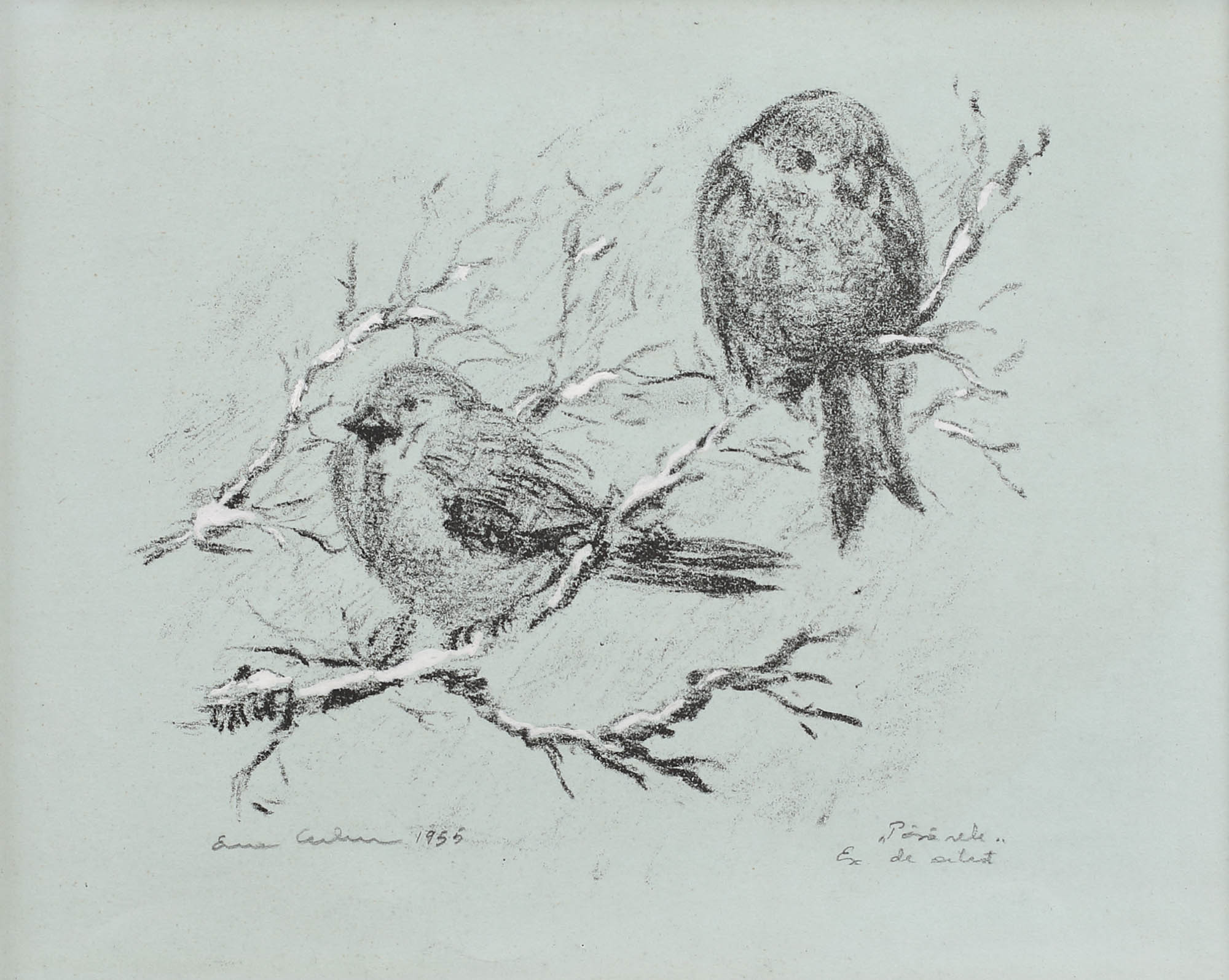 Sparrows