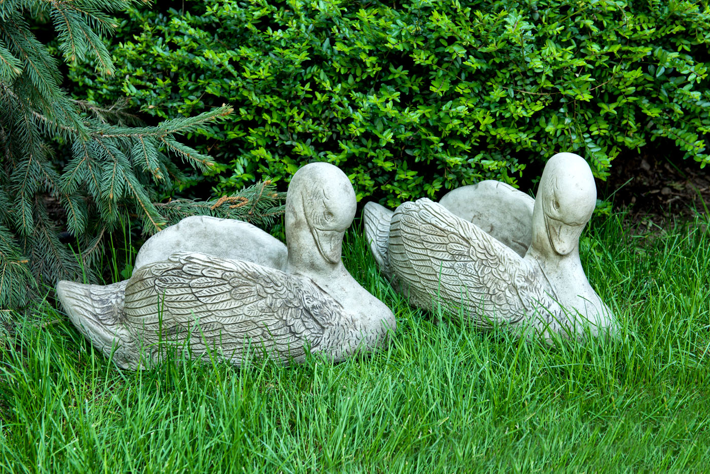 Pair of stone cache-pots, carved as swans