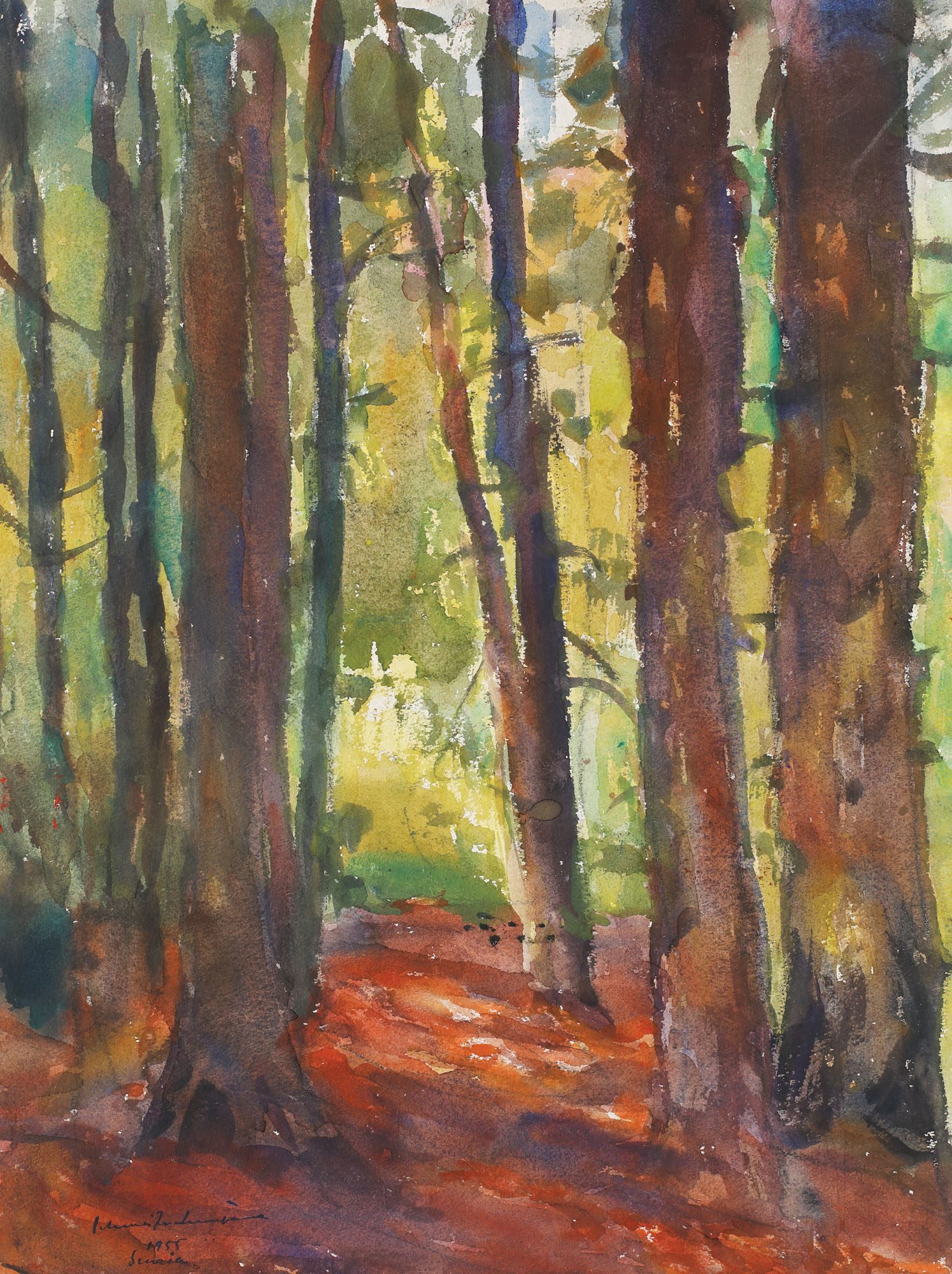Interior de pădure