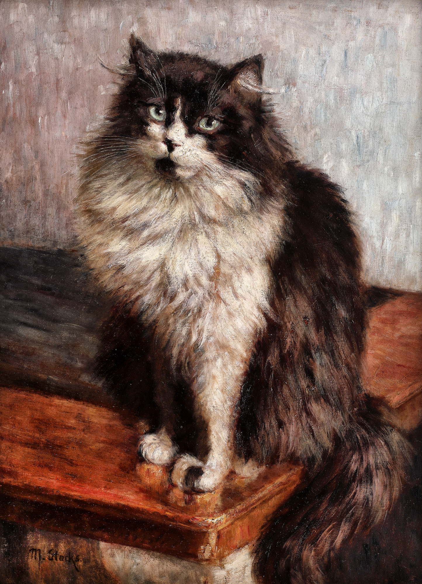 Motanul Klaus