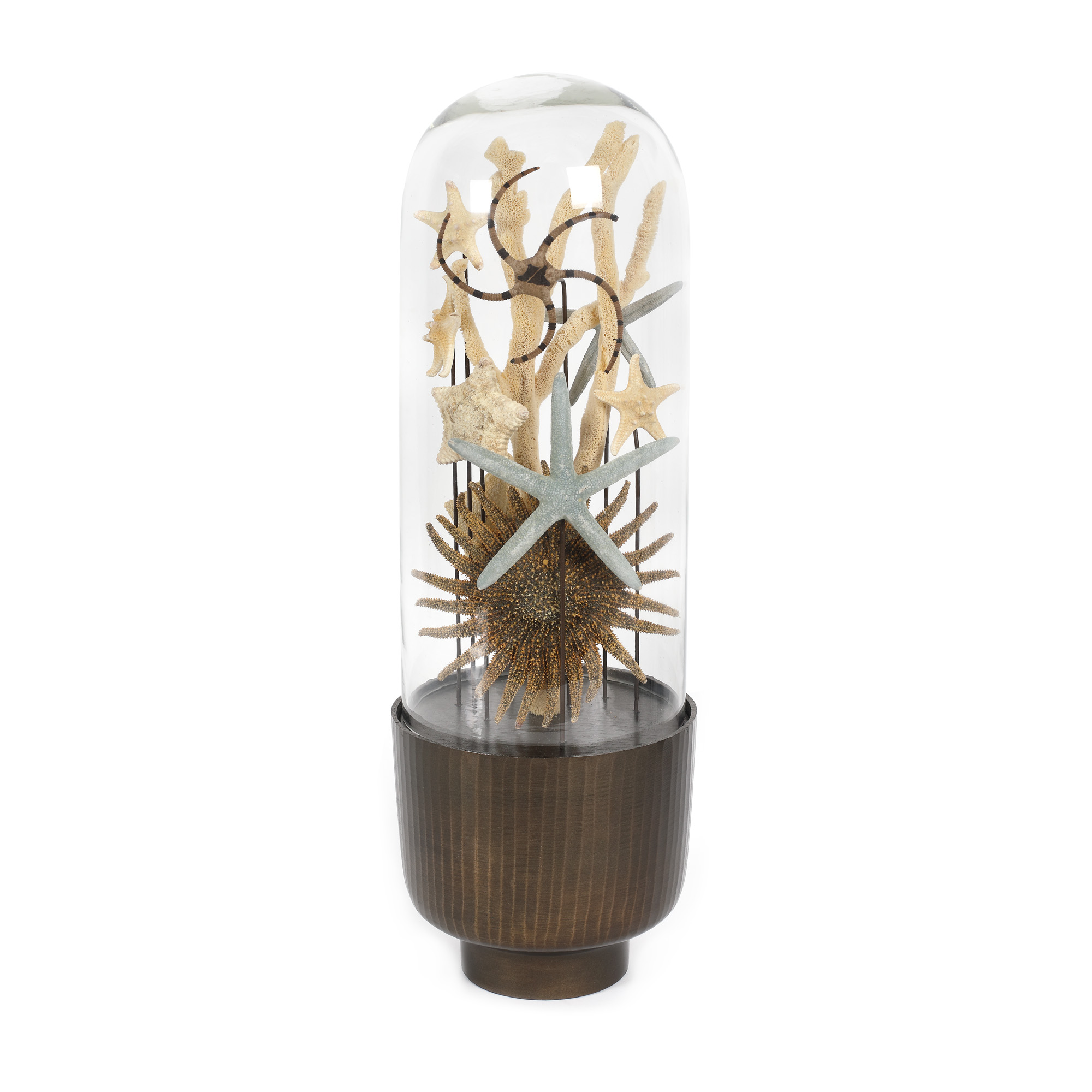 Marine universe - decorative object for the pool