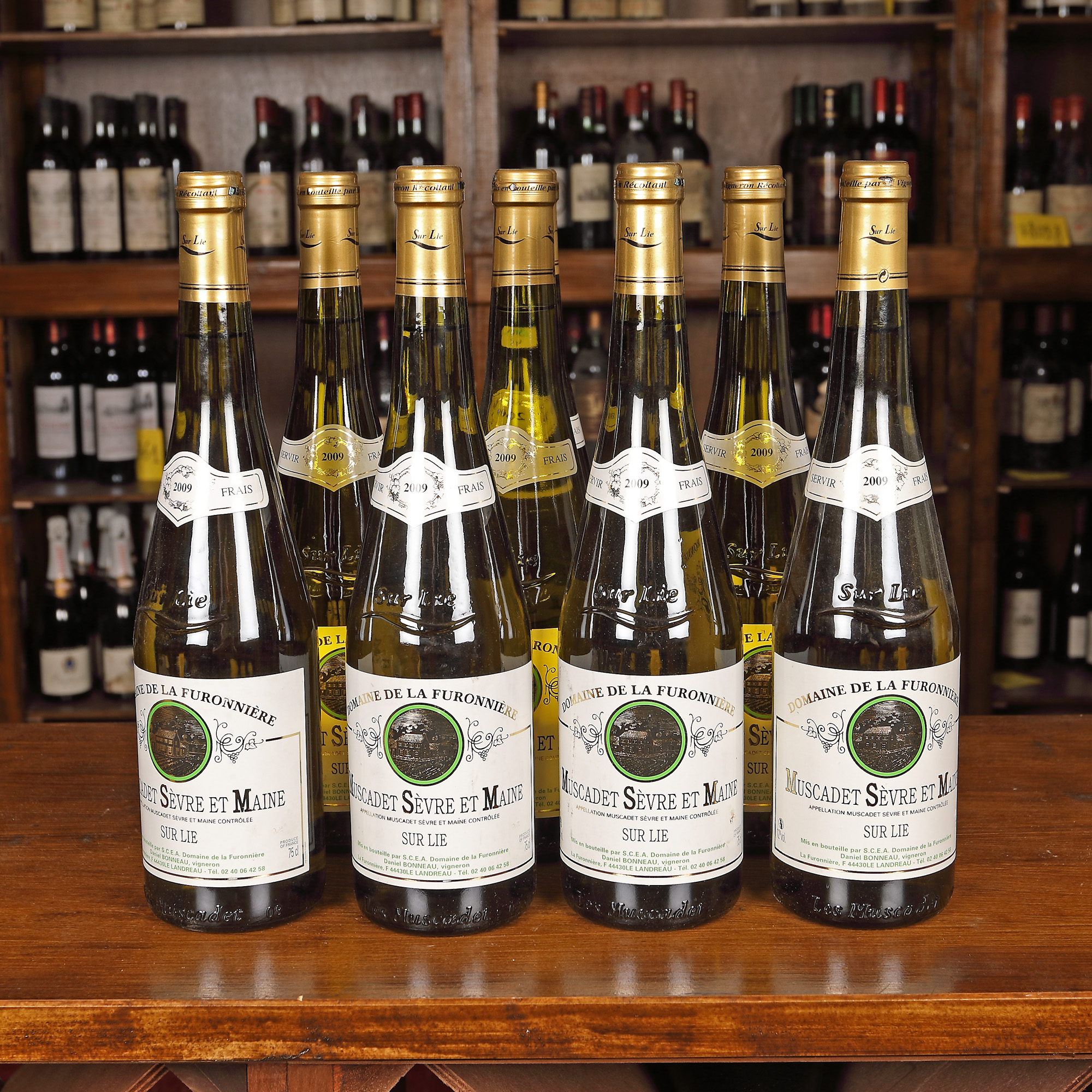 Lot de vinuri Muscadet Sèvres et Maine, 2009, 8st x 0,75l