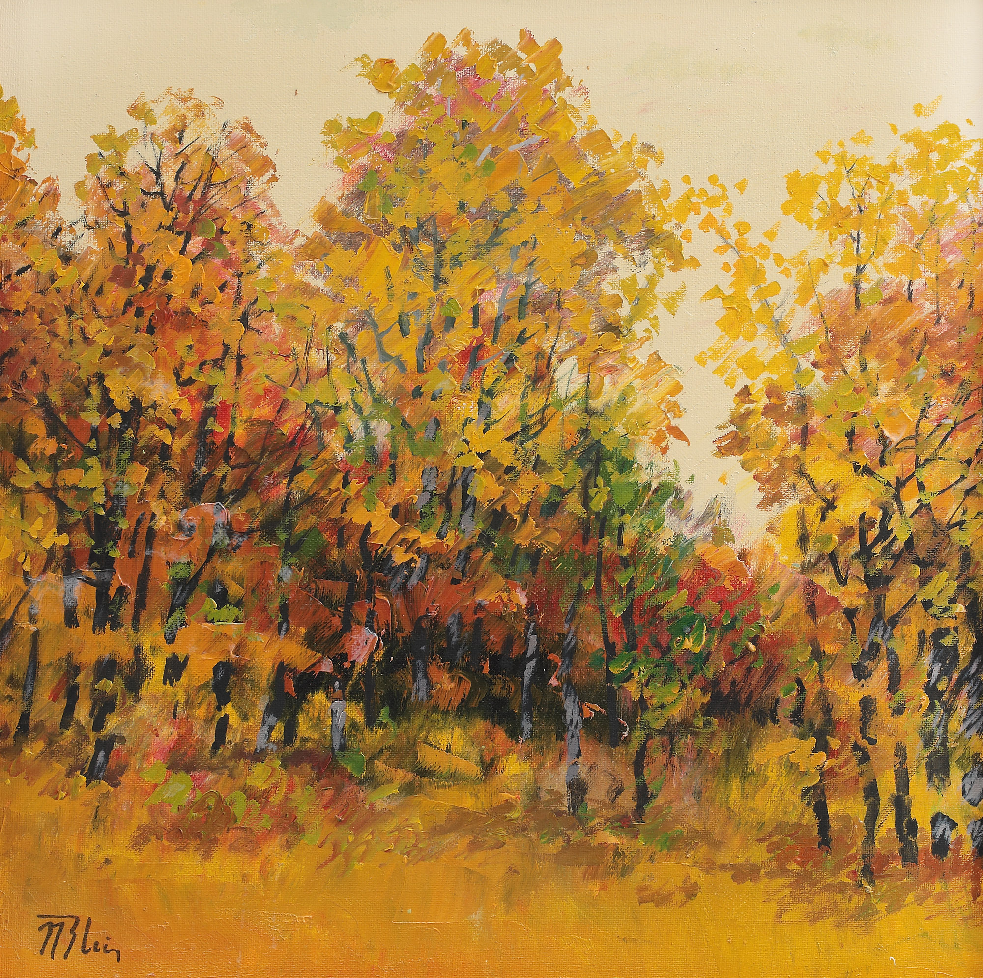 Early Fall