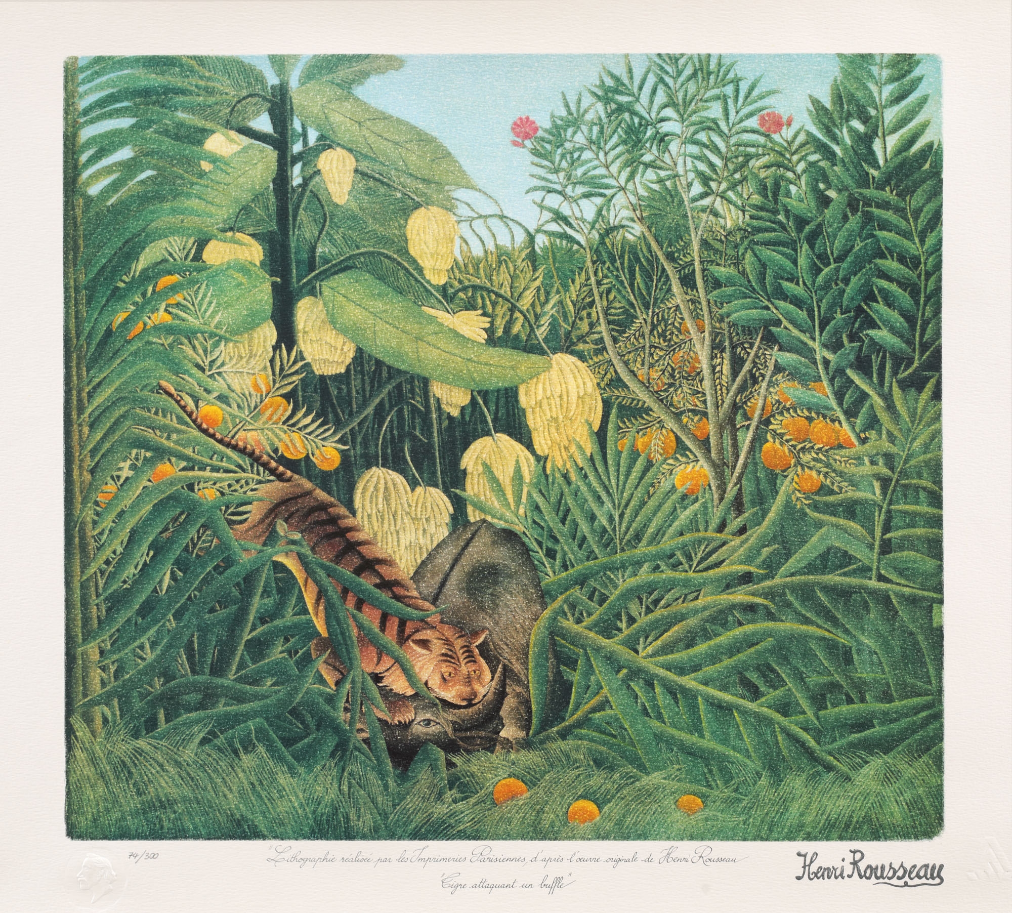The Fight Between a Tiger and a Buffalo