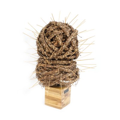 Contemporary portrait (The rope of life)