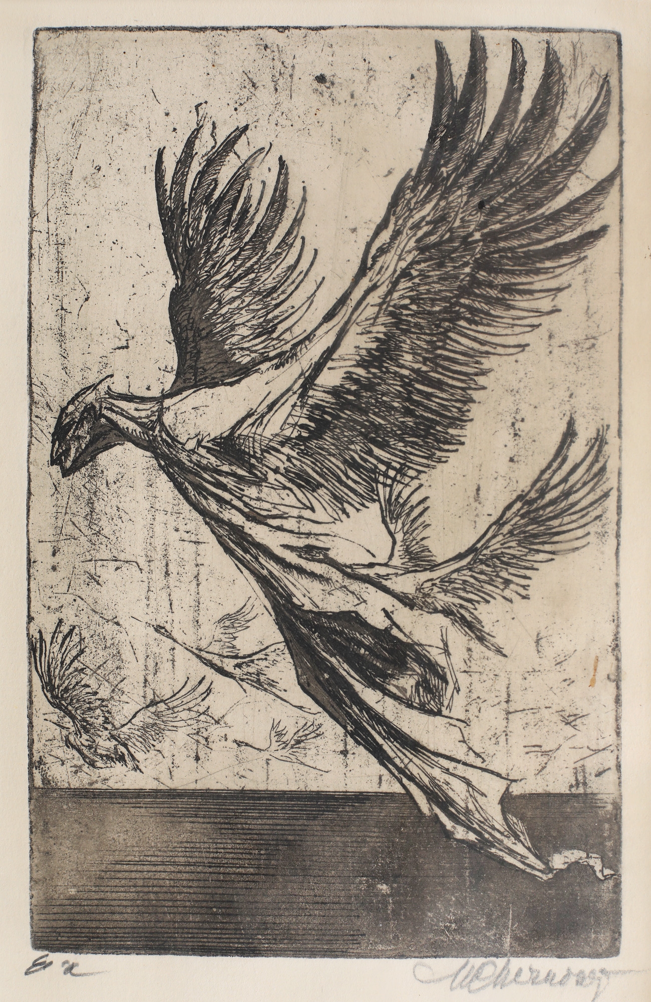 The birds