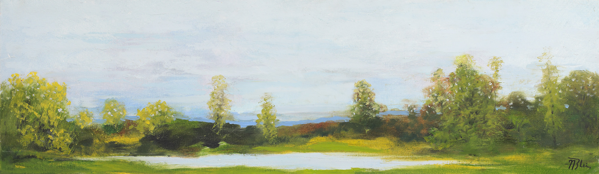 Argeș landscape