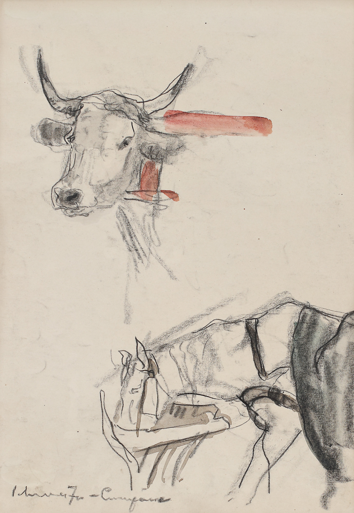 Studiu de animale