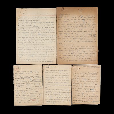 Five manuscripts - "Din 1001 de insomnii", "Poveste cu un scriitor și un baston de cauciuc", "Idei despre poezie", "Despre Tudor Arghezi" and "Omul-orchestră", by Stephan Roll, approx. 1953, part of the collection of the Stephan Roll and Medi Dinu family (36 sheets)