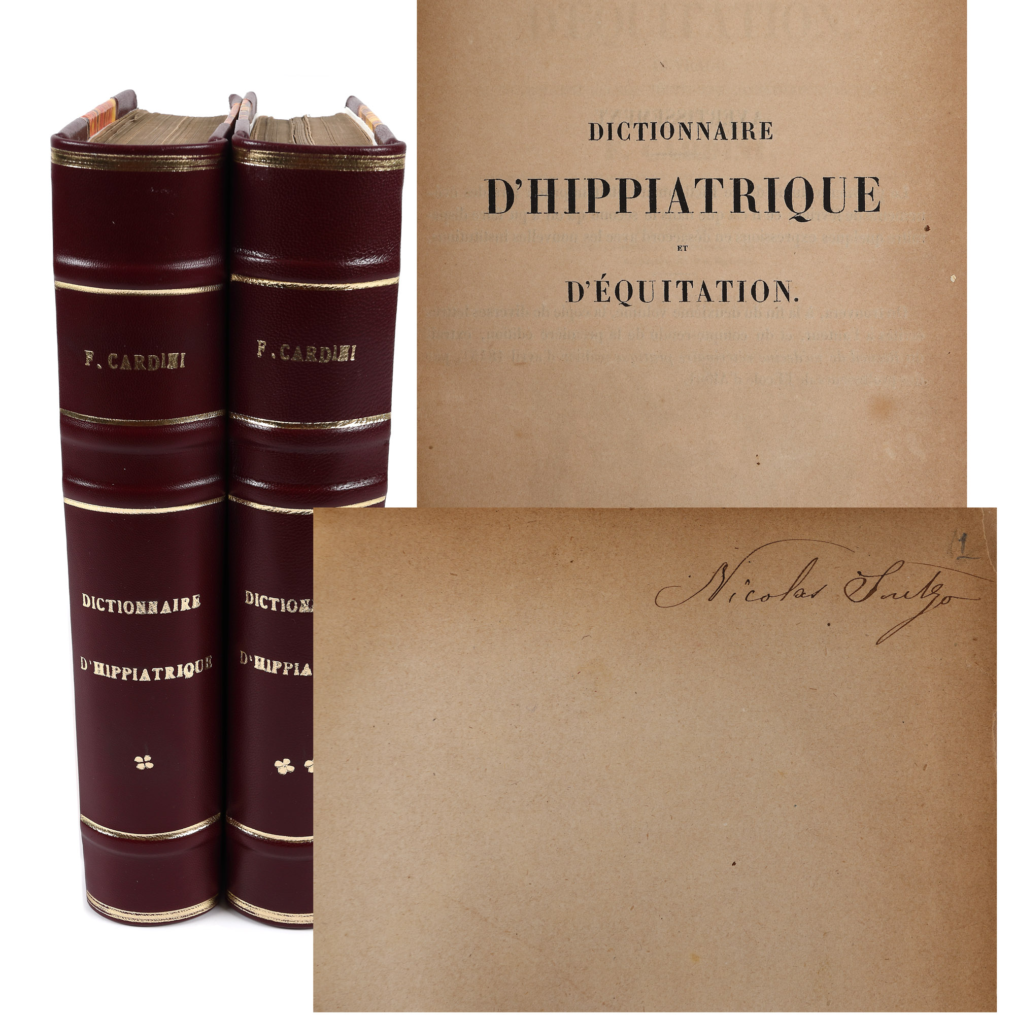 "Dictionaire d'hippiatrique et d'équitation", by F. Cardini, French, two volumes, Paris, 1848