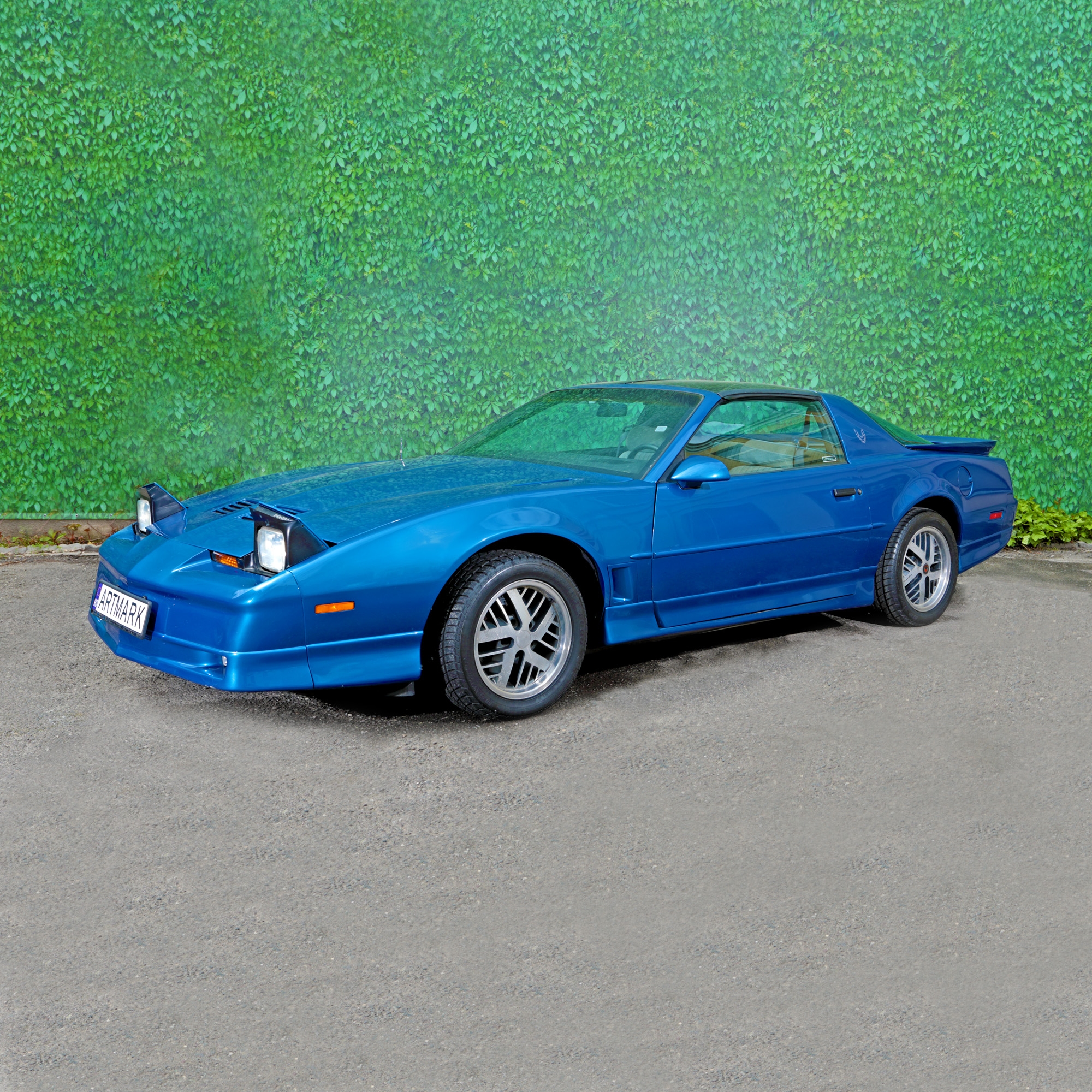 Pontiac Trans Am Firebird, 1987, ediție limitată