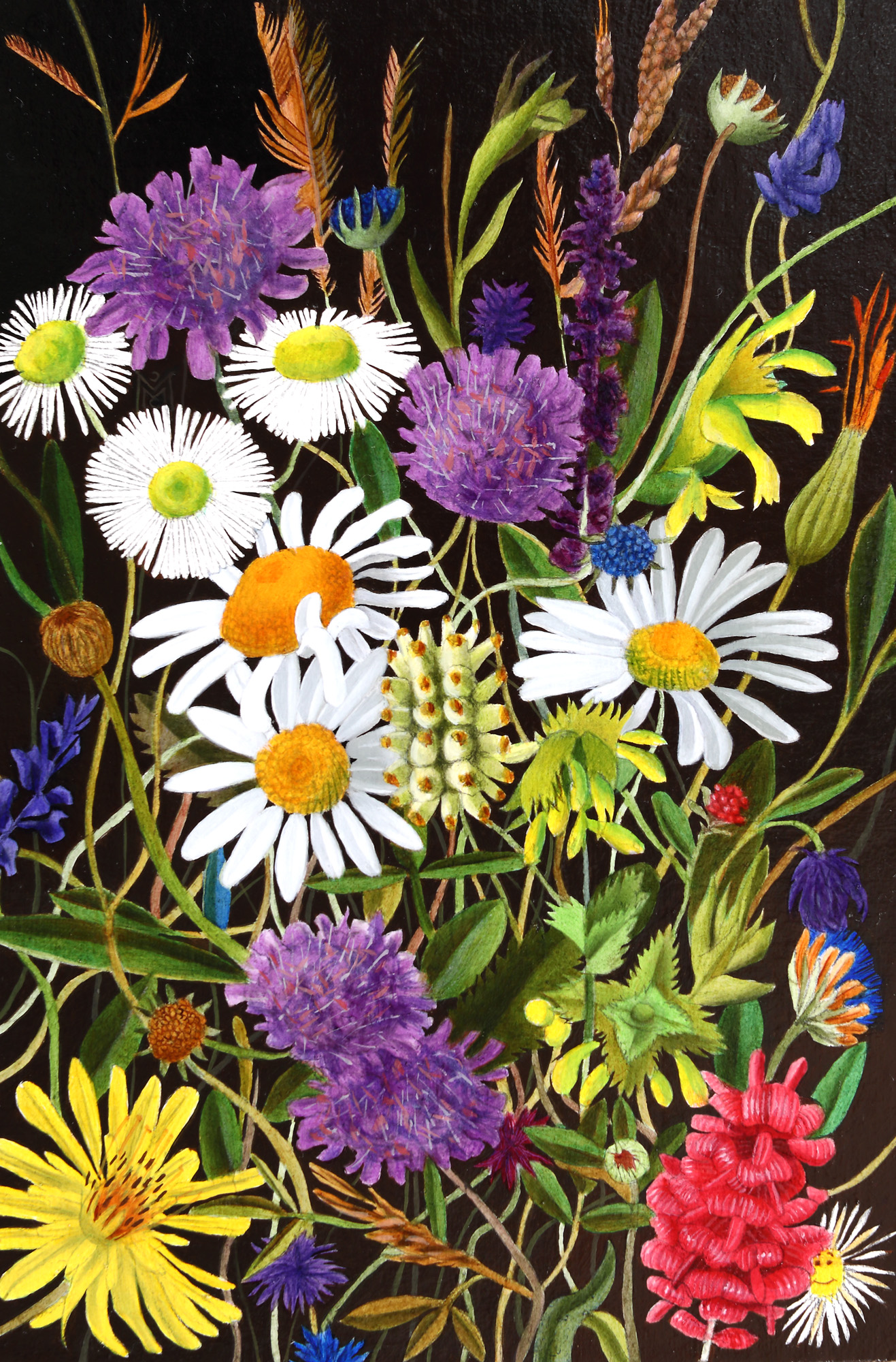 Wild Flowers
