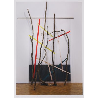 The outline of a forest in the steppe