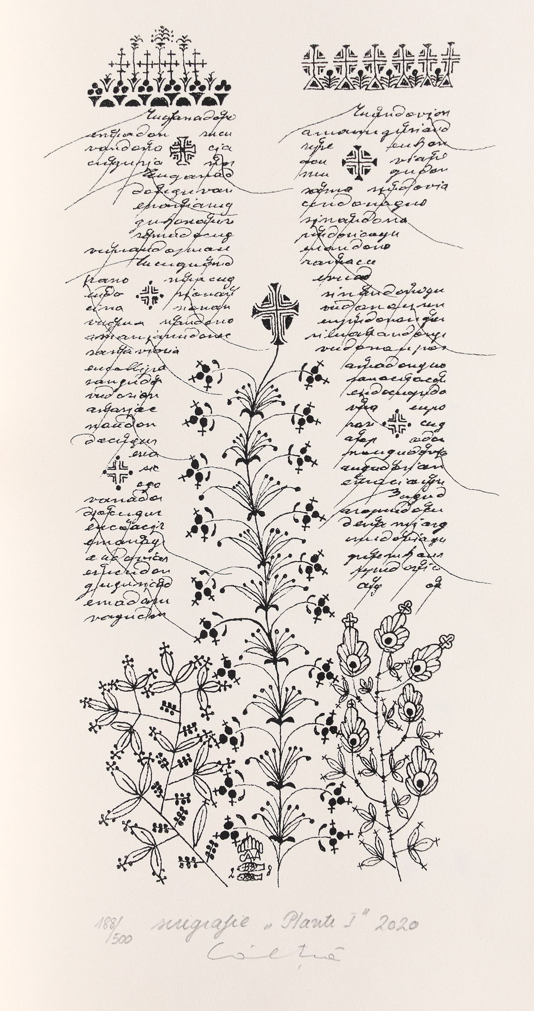 Plante (I)