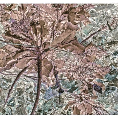 From Humans to Hummus