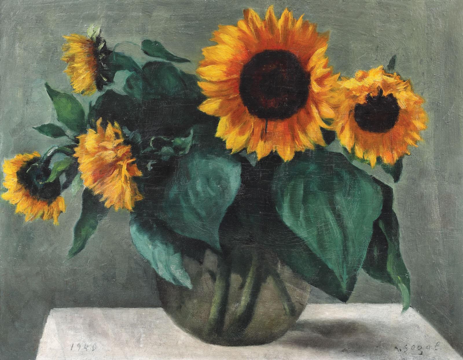 Sunflower