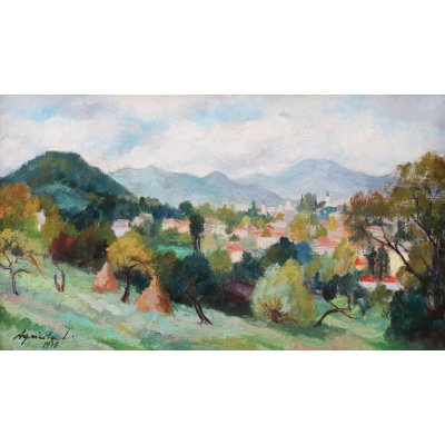 Landscape from Baia Mare