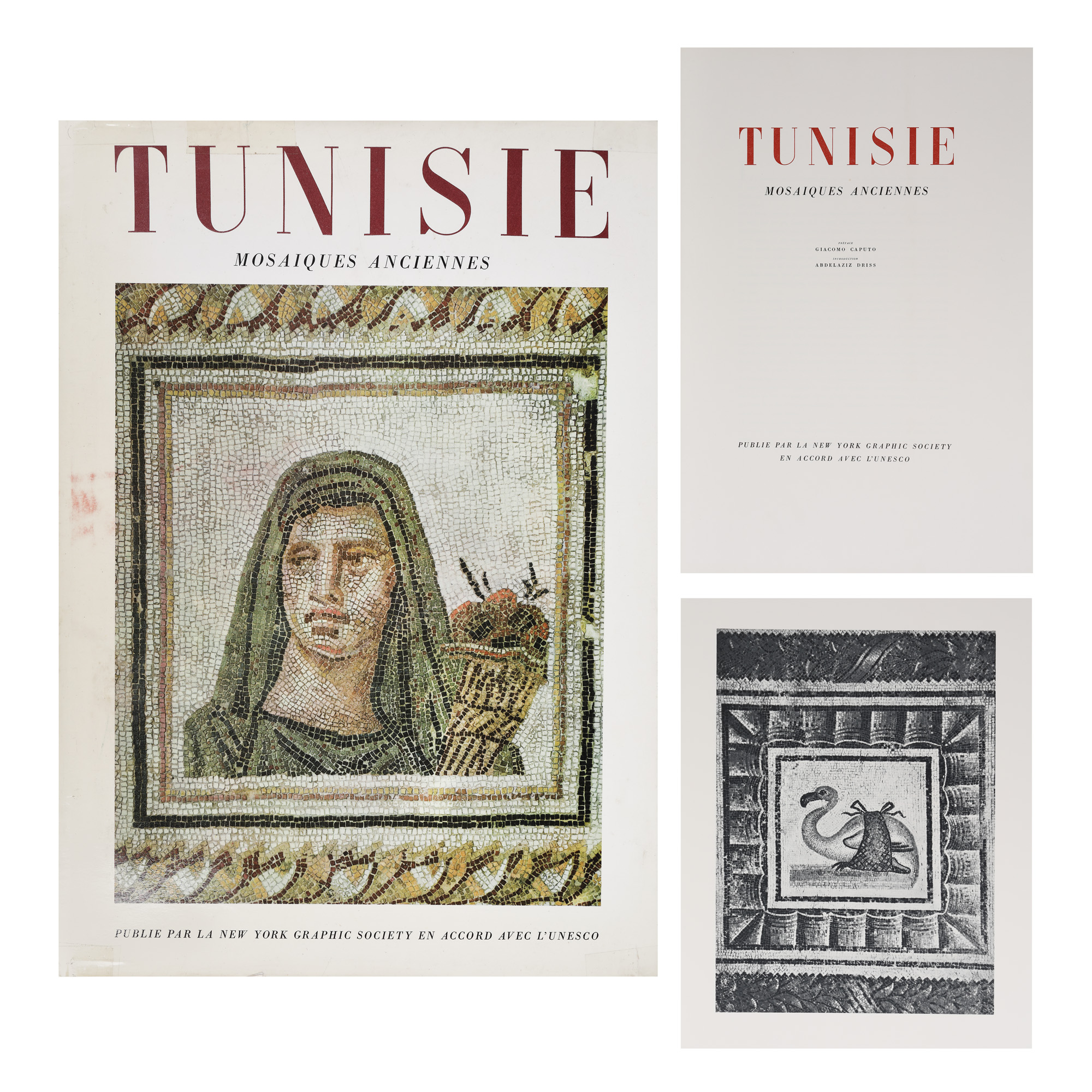 ”Tunisia, mozaicuri antice”, de Giacomo Caputo și Abdelaziz Driss, Paris, 1962, provine din colecția fostului ministru de externe George Macovescu