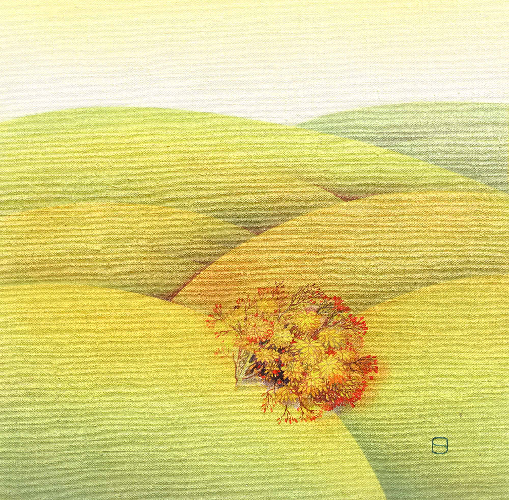 Field