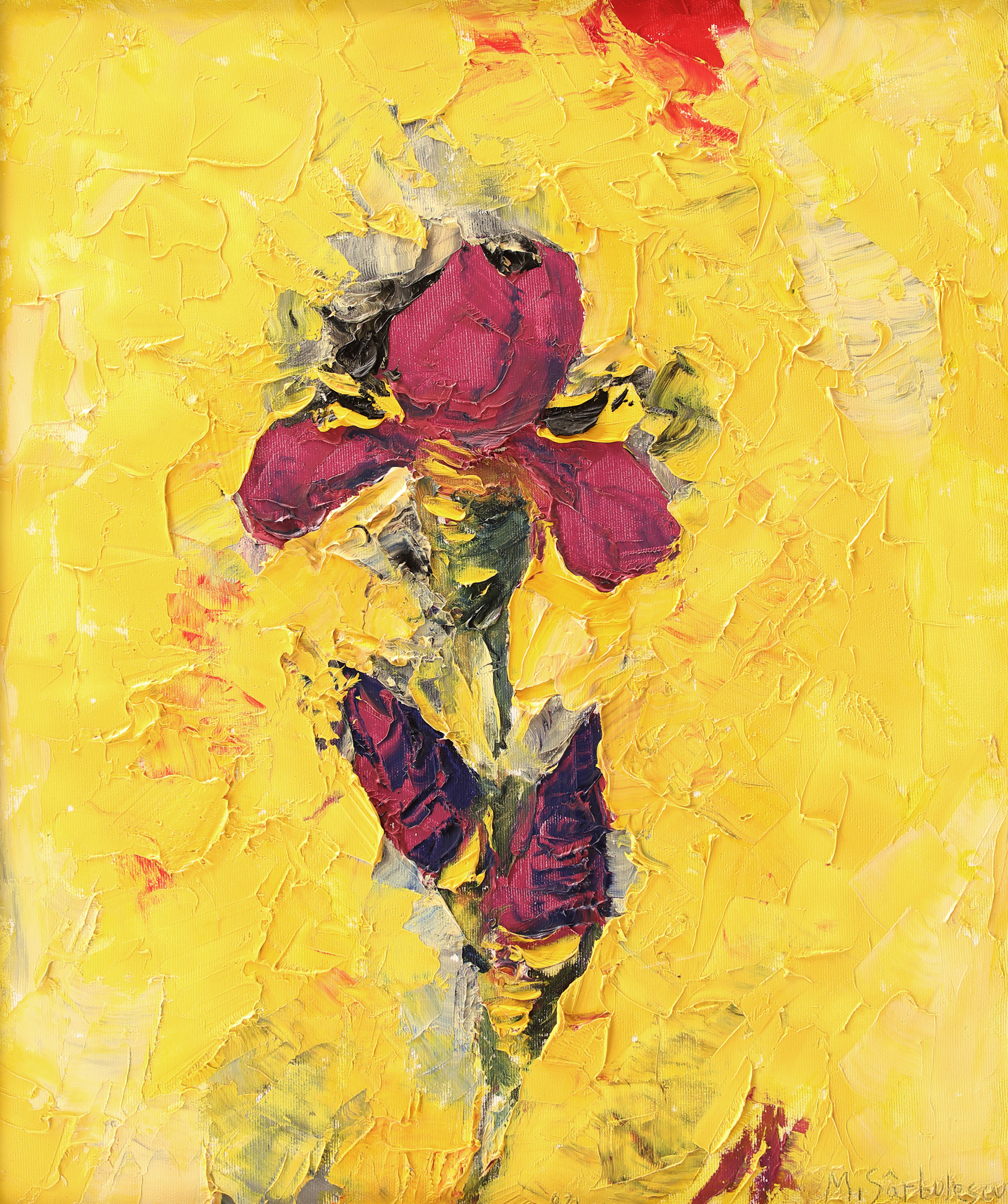 Iris pe fond galben