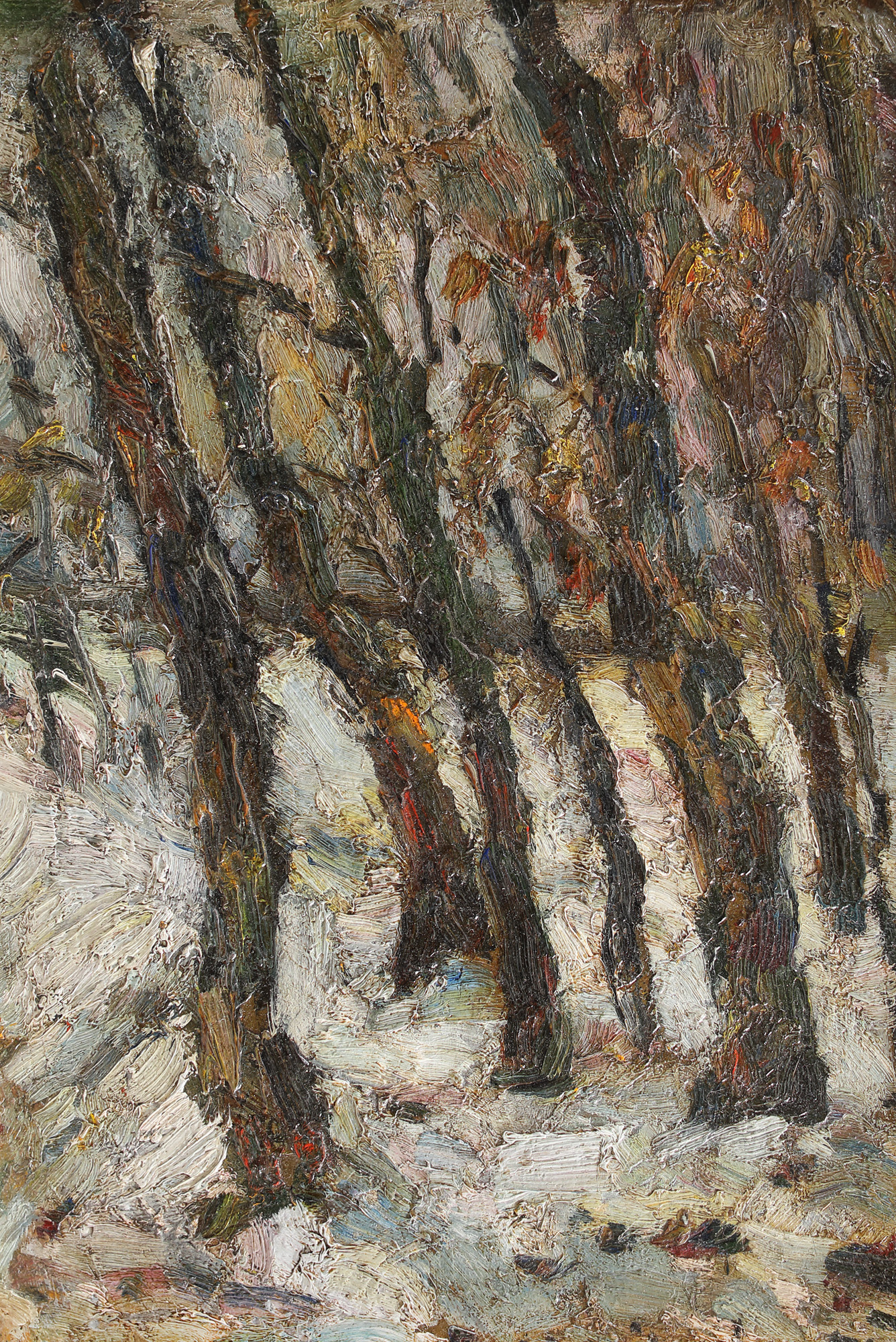 Defoliated Trees