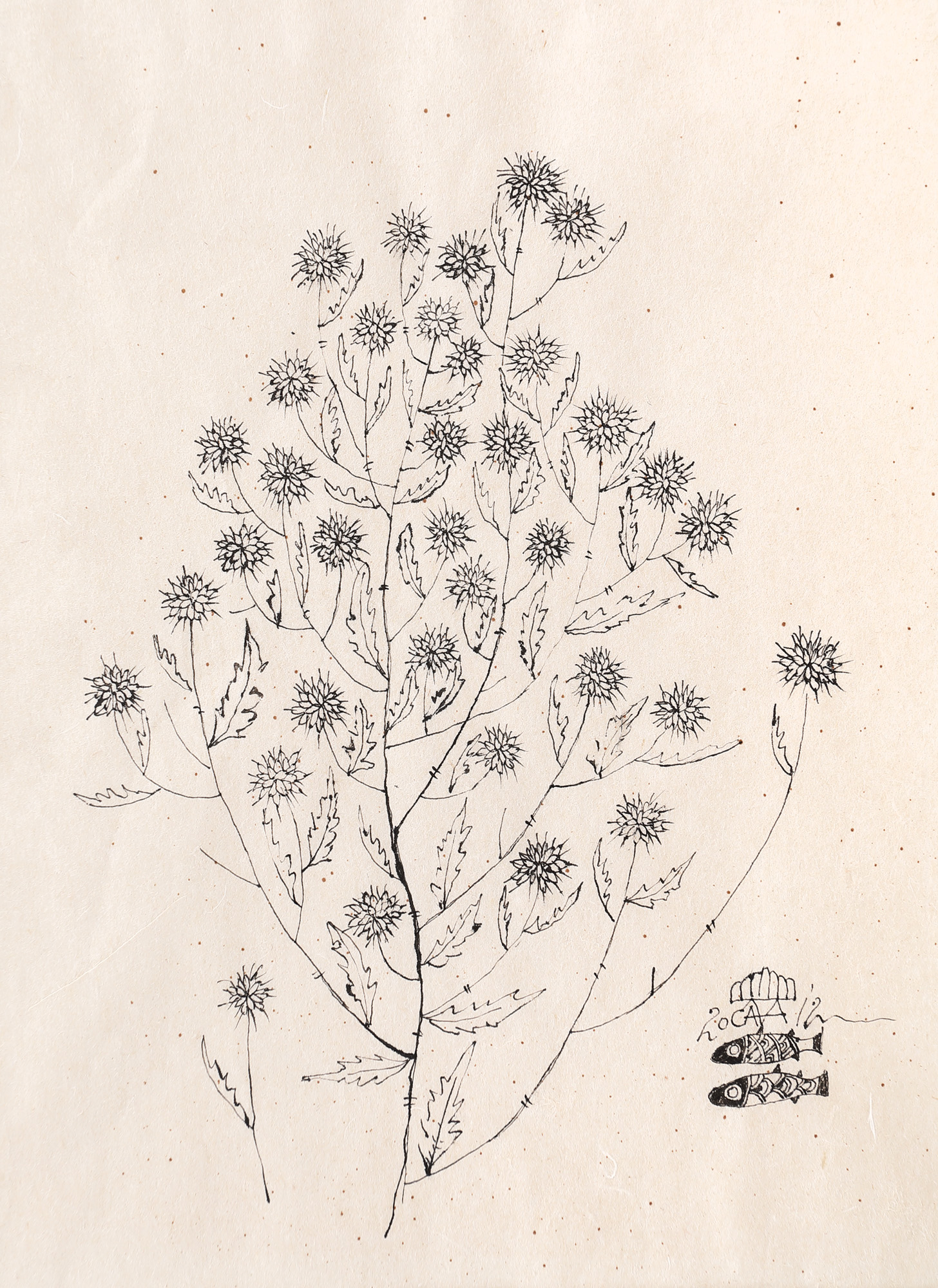Plante
