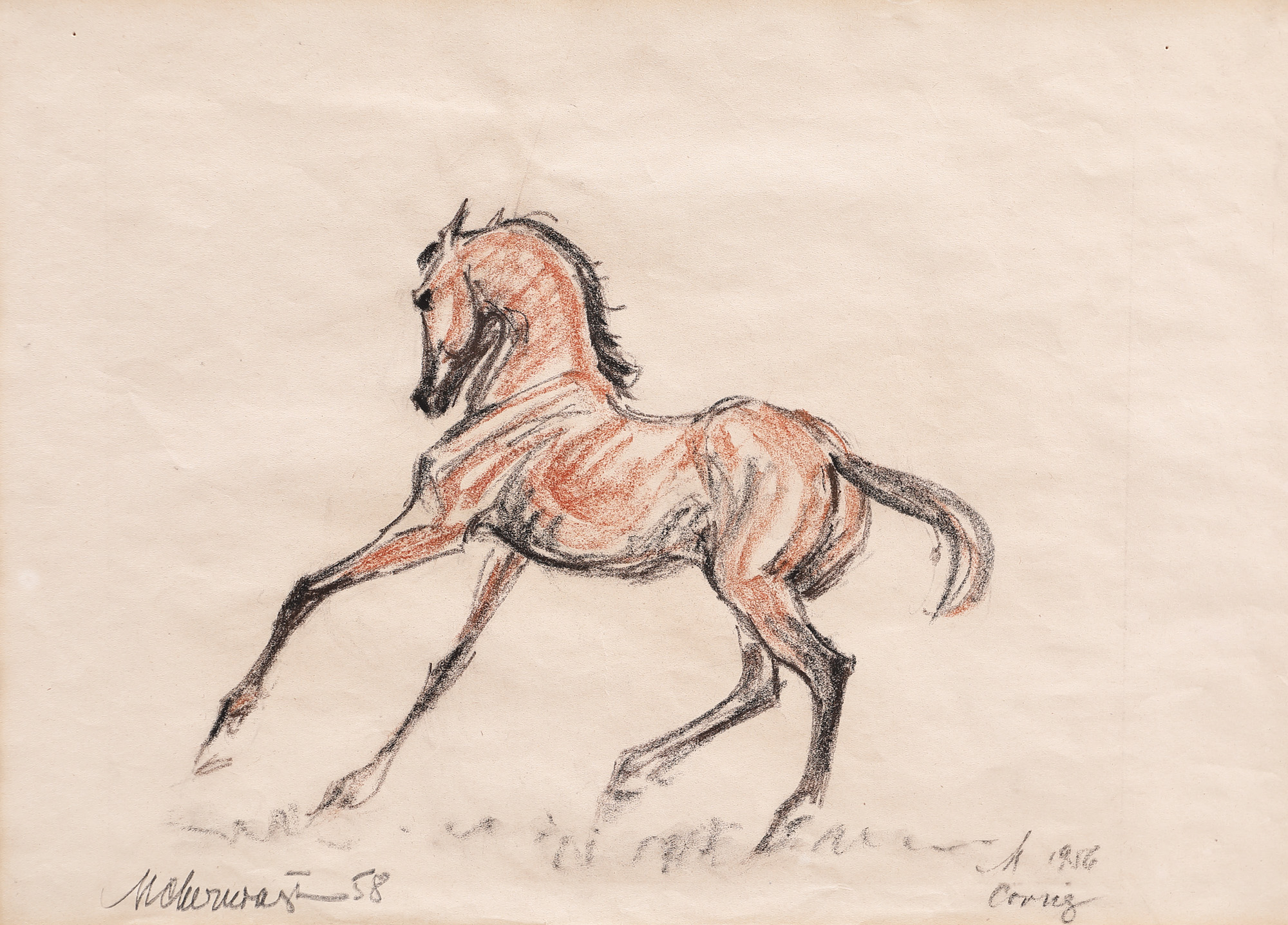 Pegasus