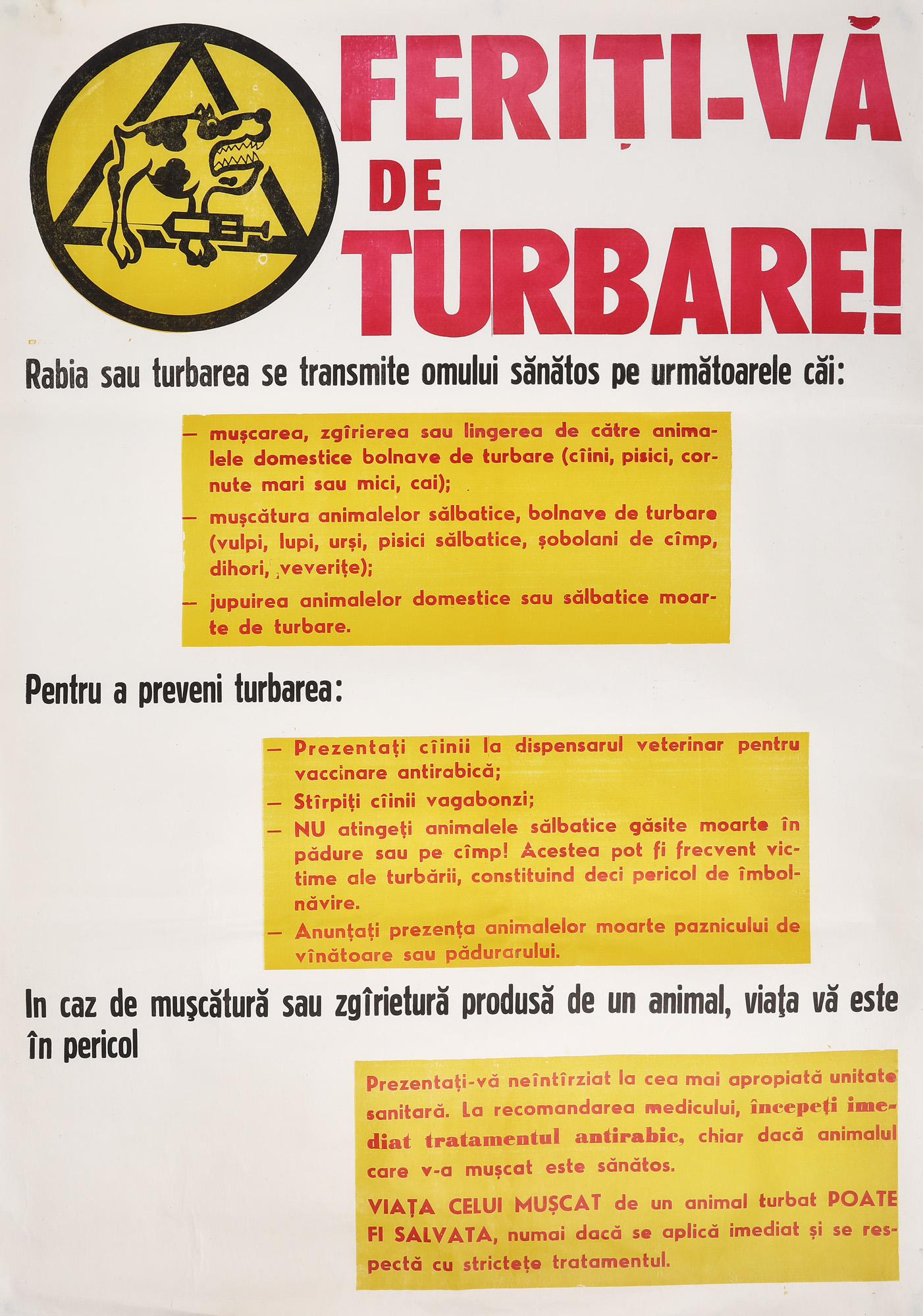 Healthcare education poster "Beware of rabies!", circa 1975