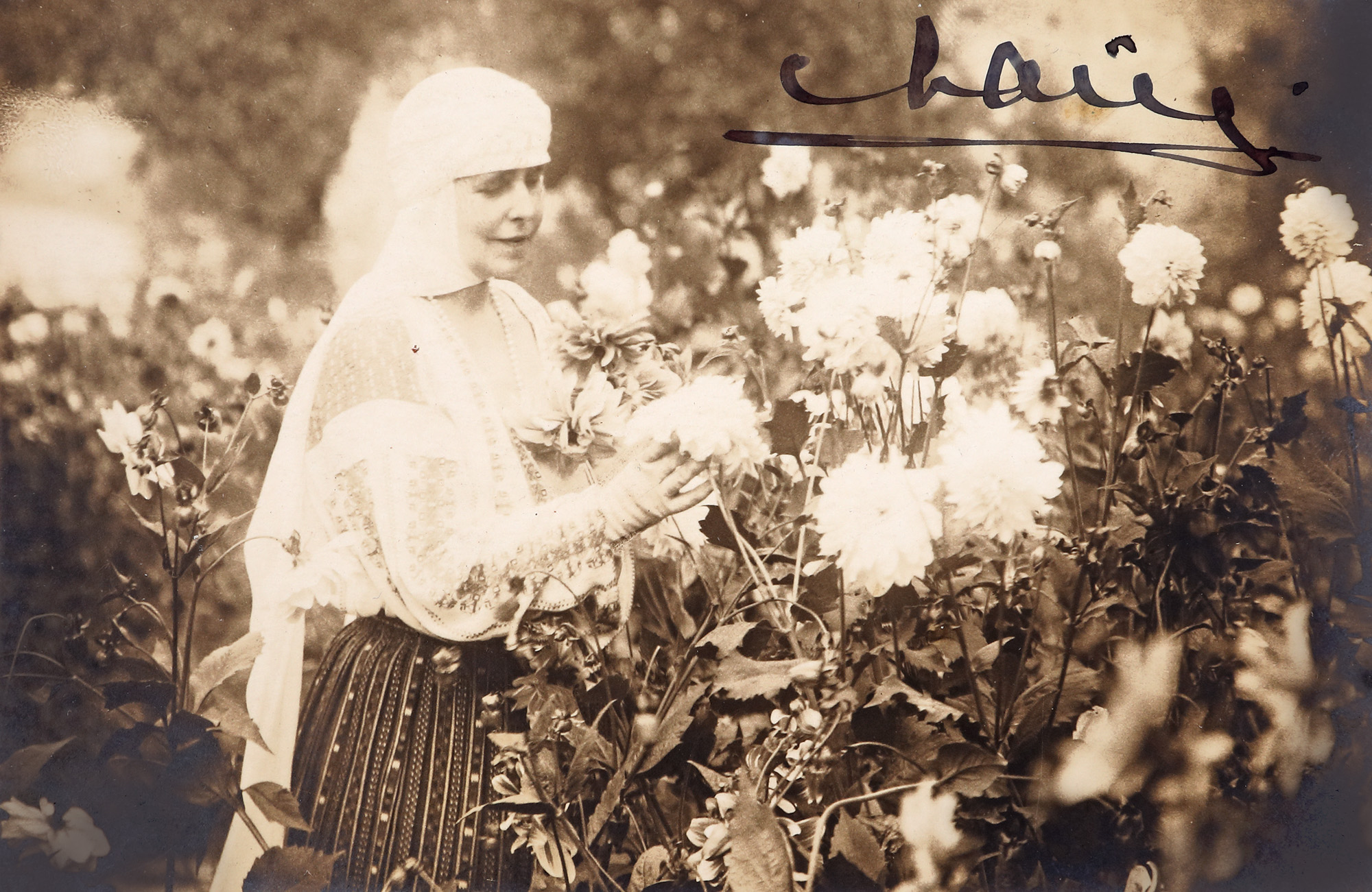 Postcard illustrating Queen Mary in "the Bran Castle dahlia garden", with the handwritten signature of the Queen, circa 1925
