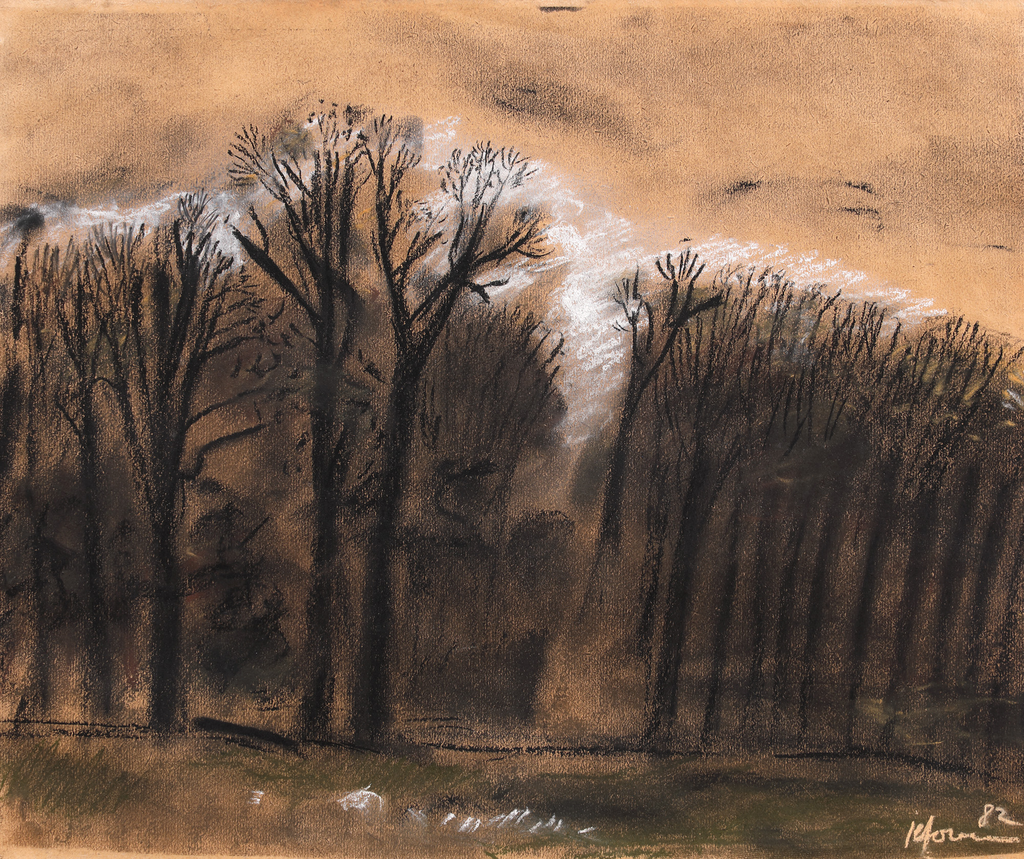 Tescani Landscape