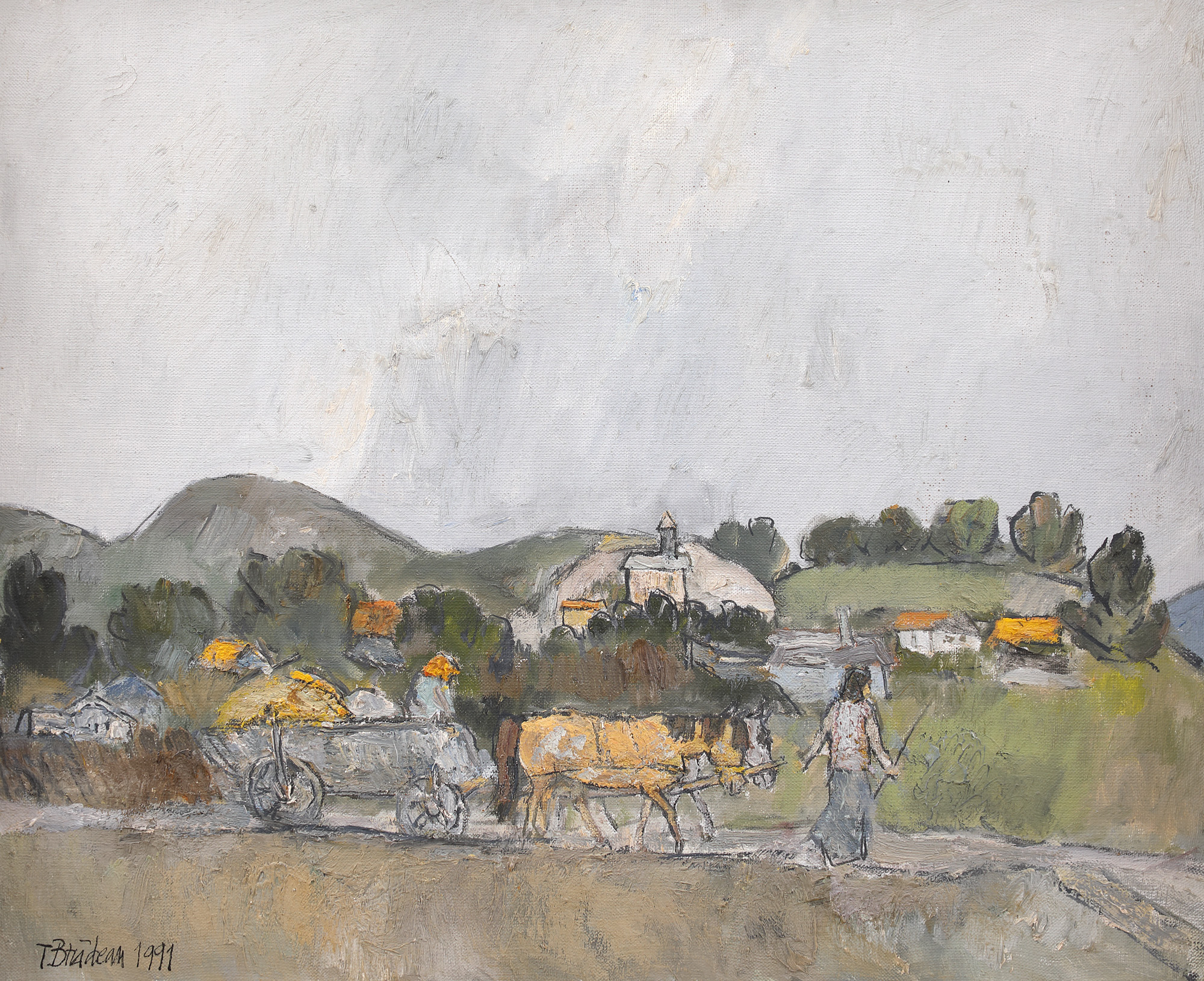 Măgura Landscape