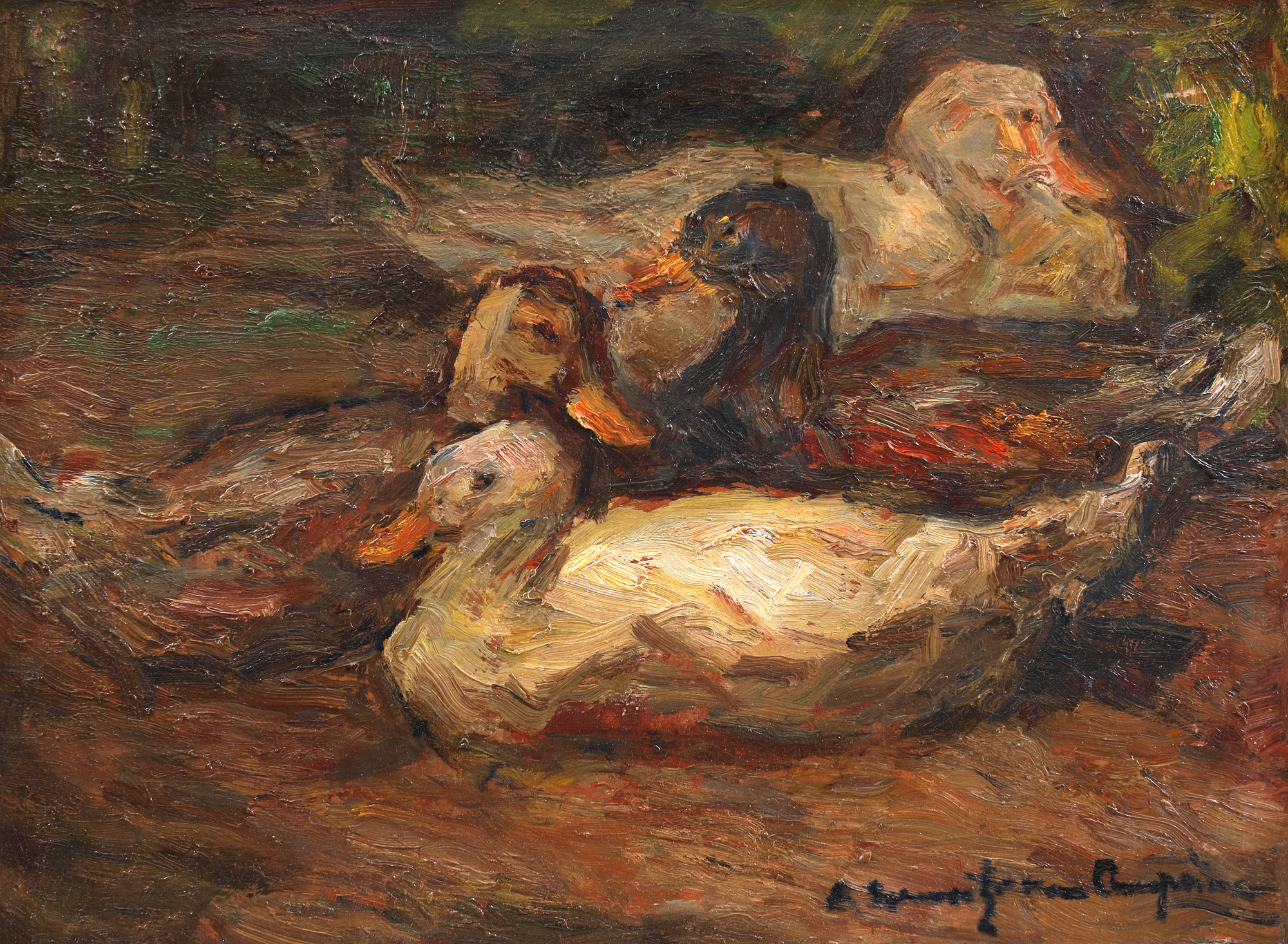 Ducklings