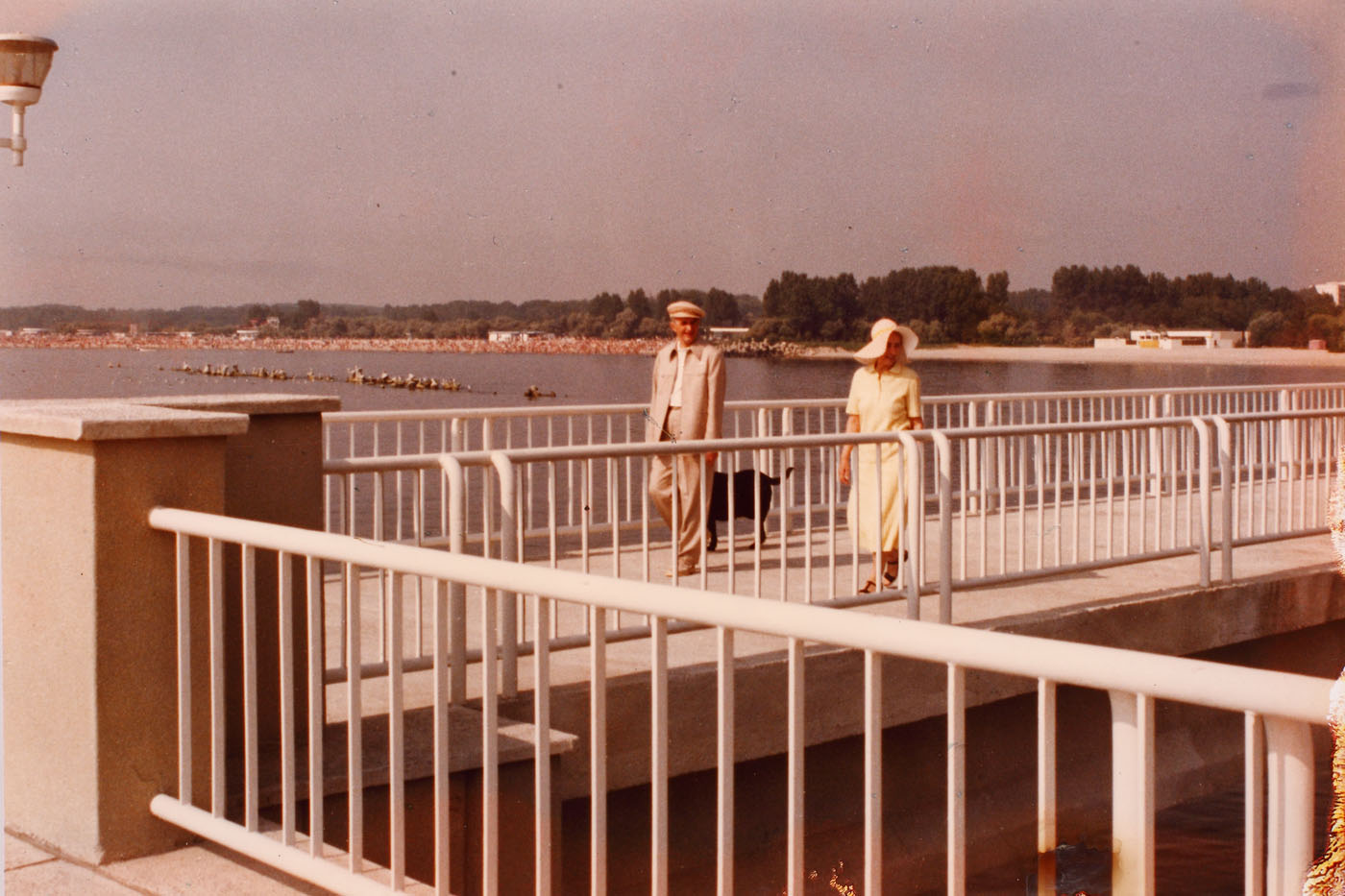Lot format din 3 fotografii de colecţie, reprezentându-i pe Nicolae Ceauşescu și pe Elena Ceaușescu în timpul unei vizite la Neptun, iulie 1987