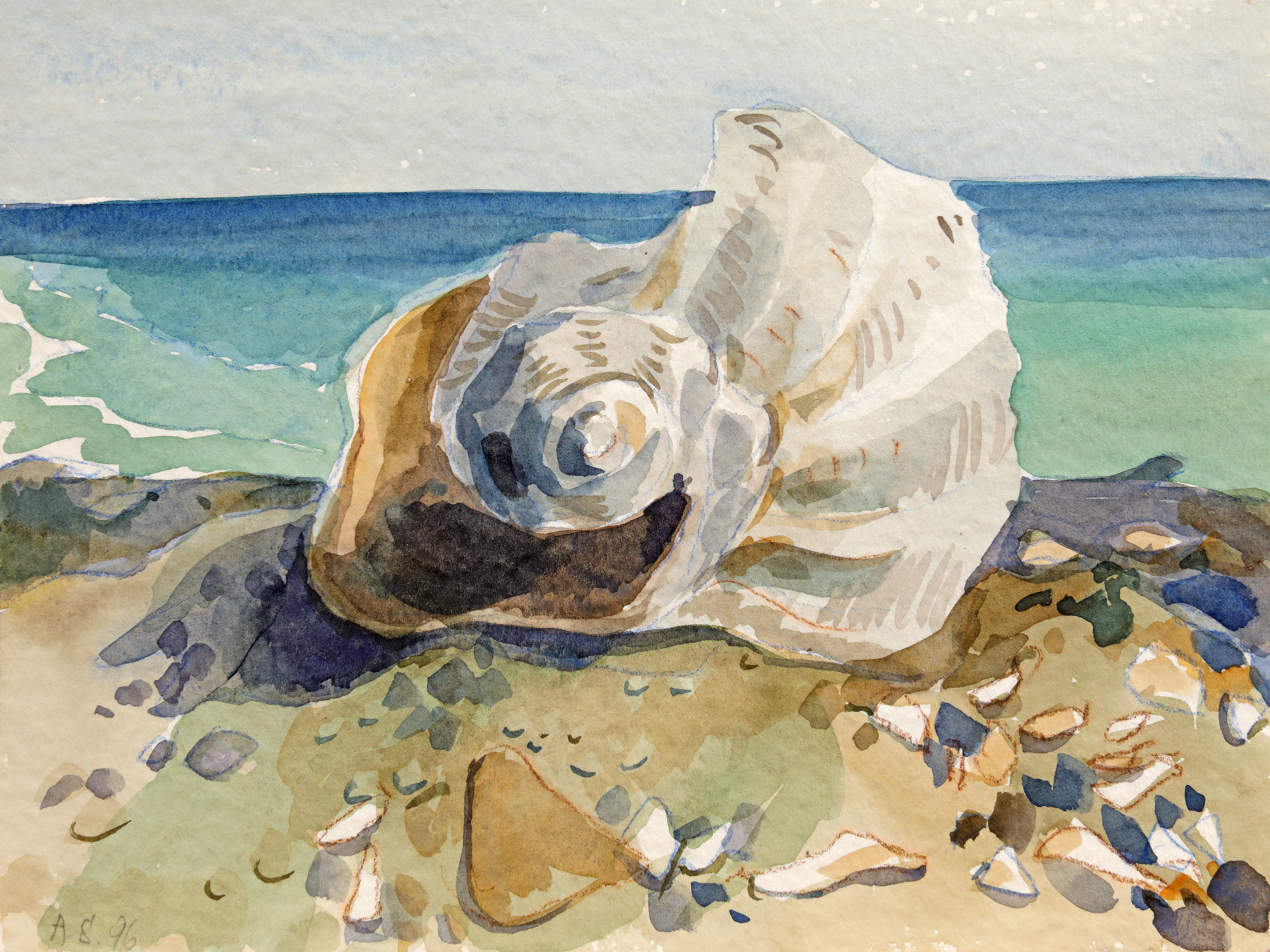Shells