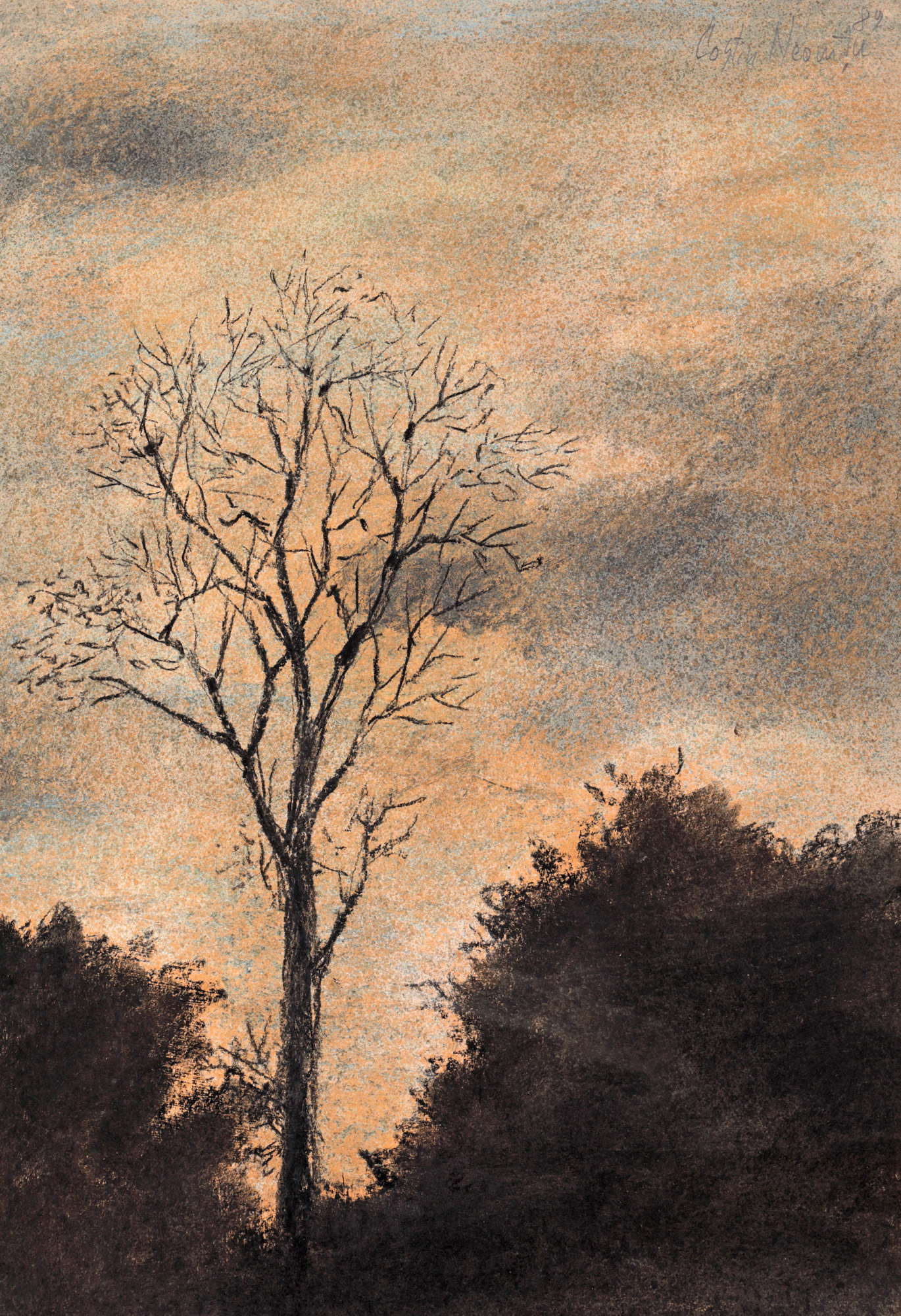 Solitudine