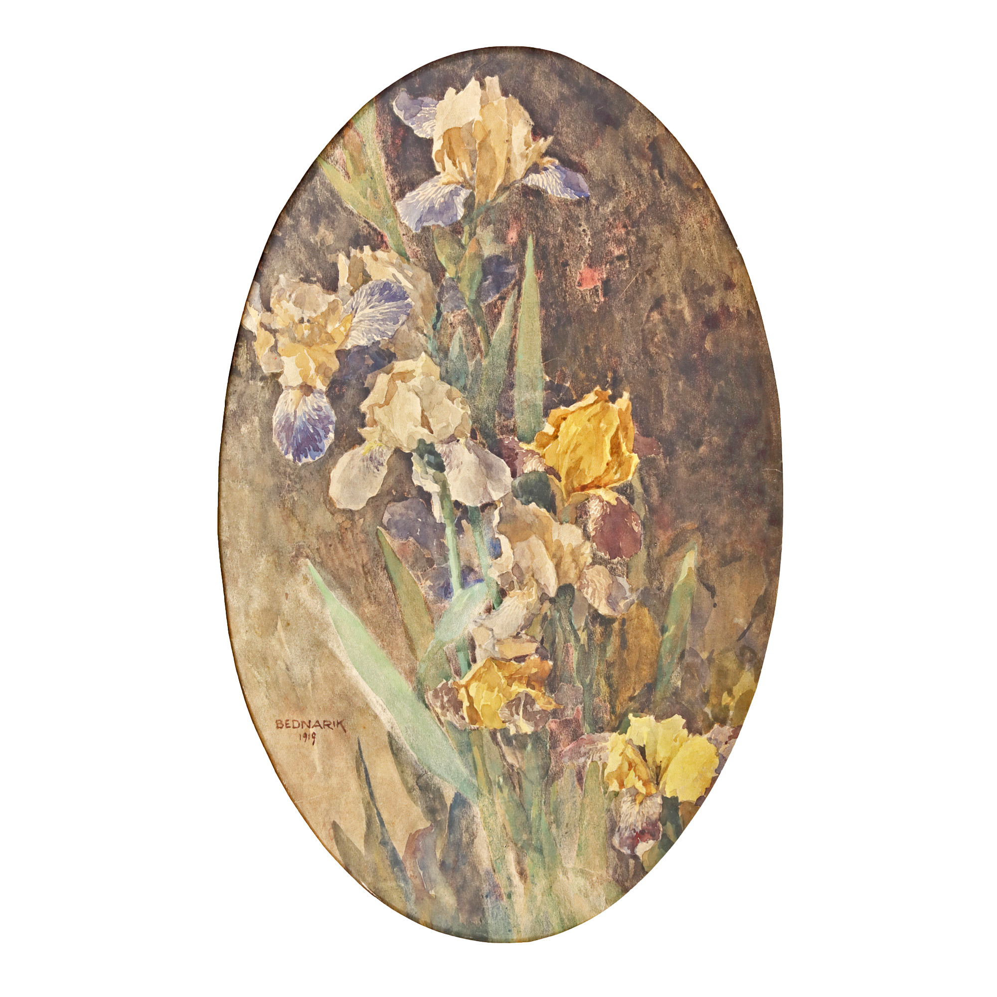 Iris