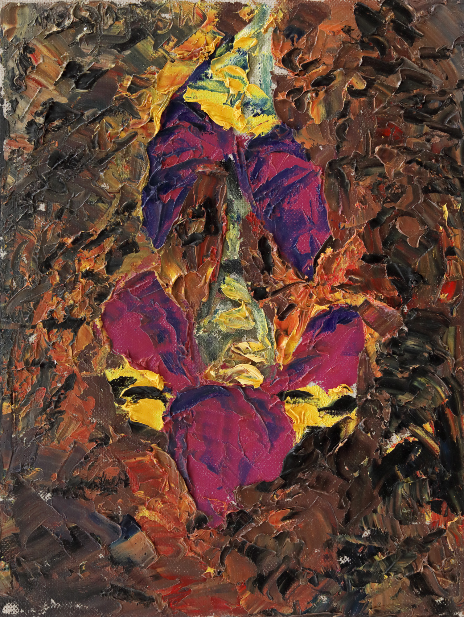 Iris