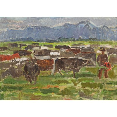 Landscape in Făgăraș