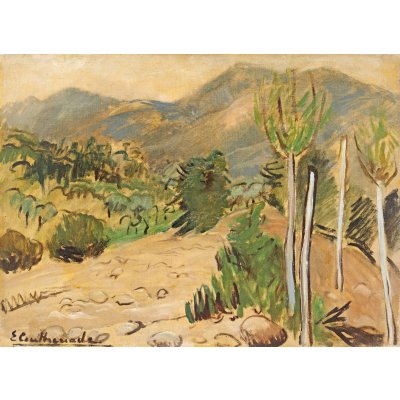 Landscape of Aluniș