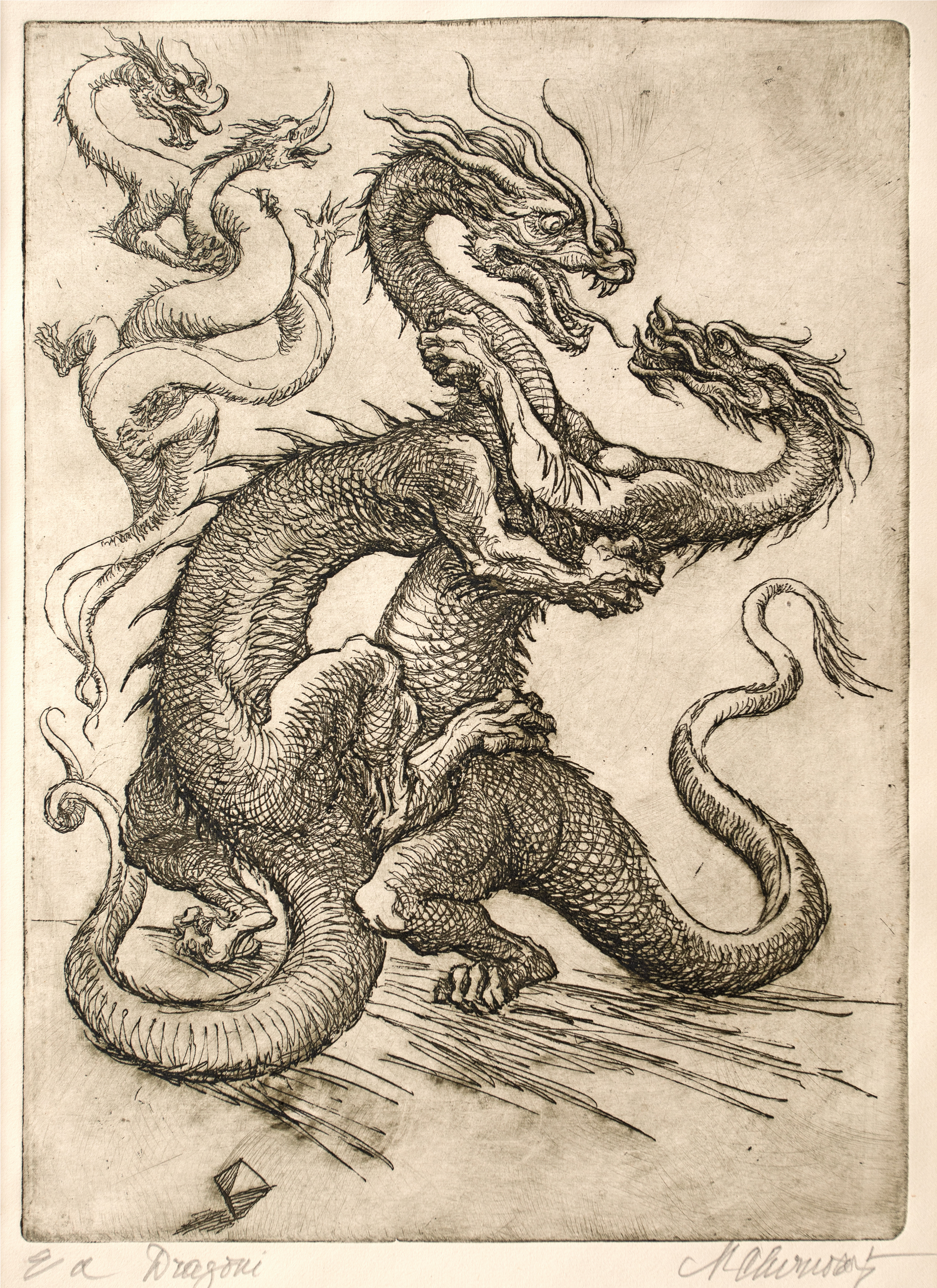 Dragons
