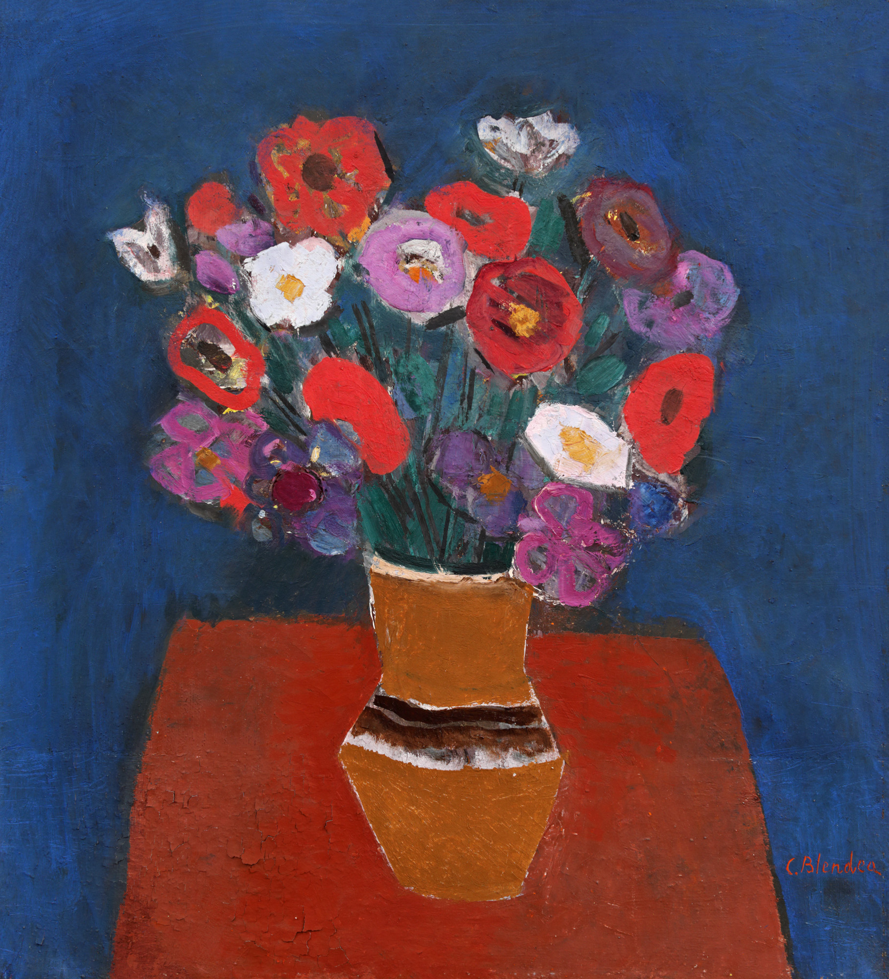 Anemone