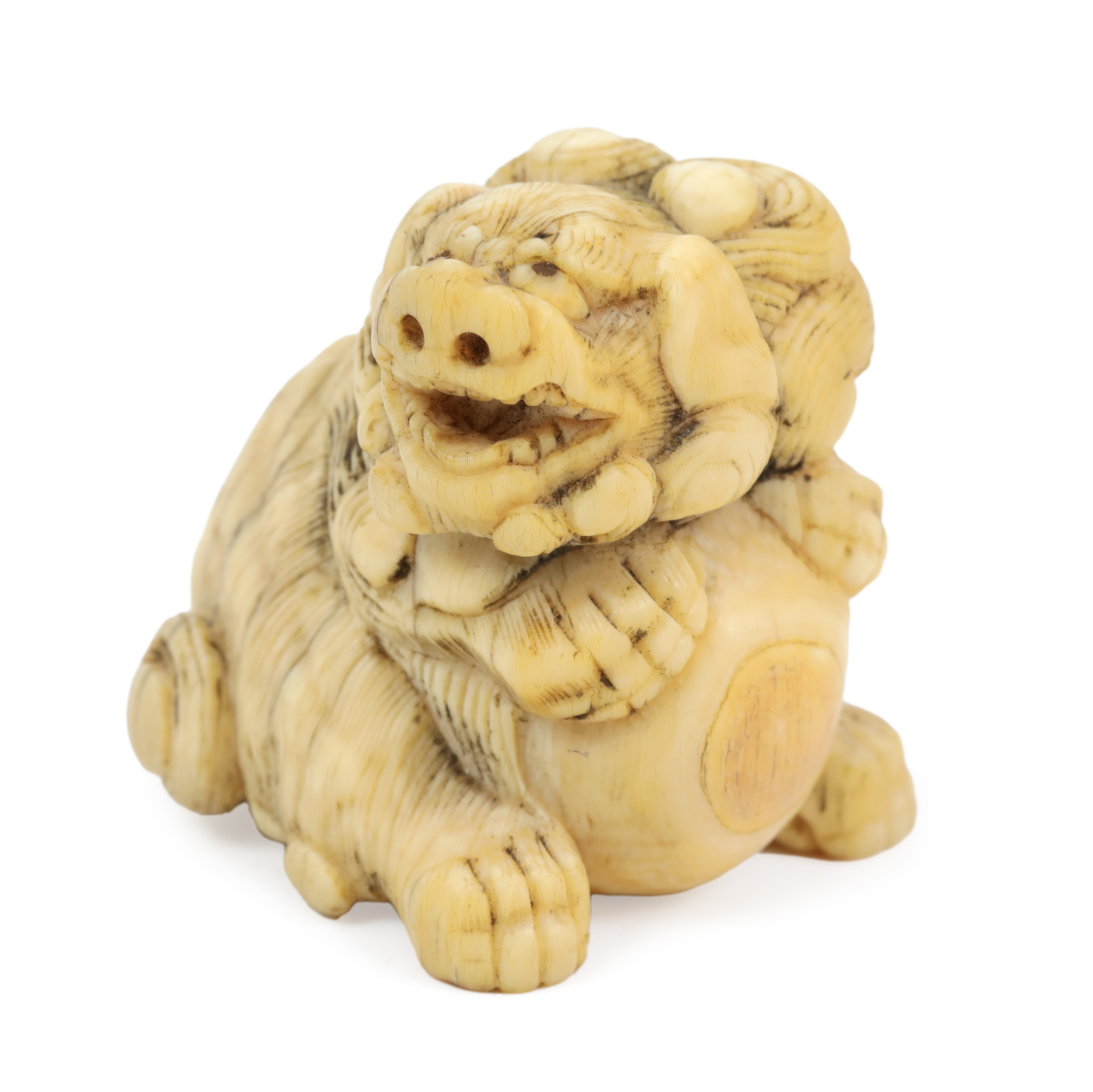 Netsuke din fildeș, reprezentând un shishi (leu gardian), perioada Edo, Japonia, sfârșitul sec. XVIII