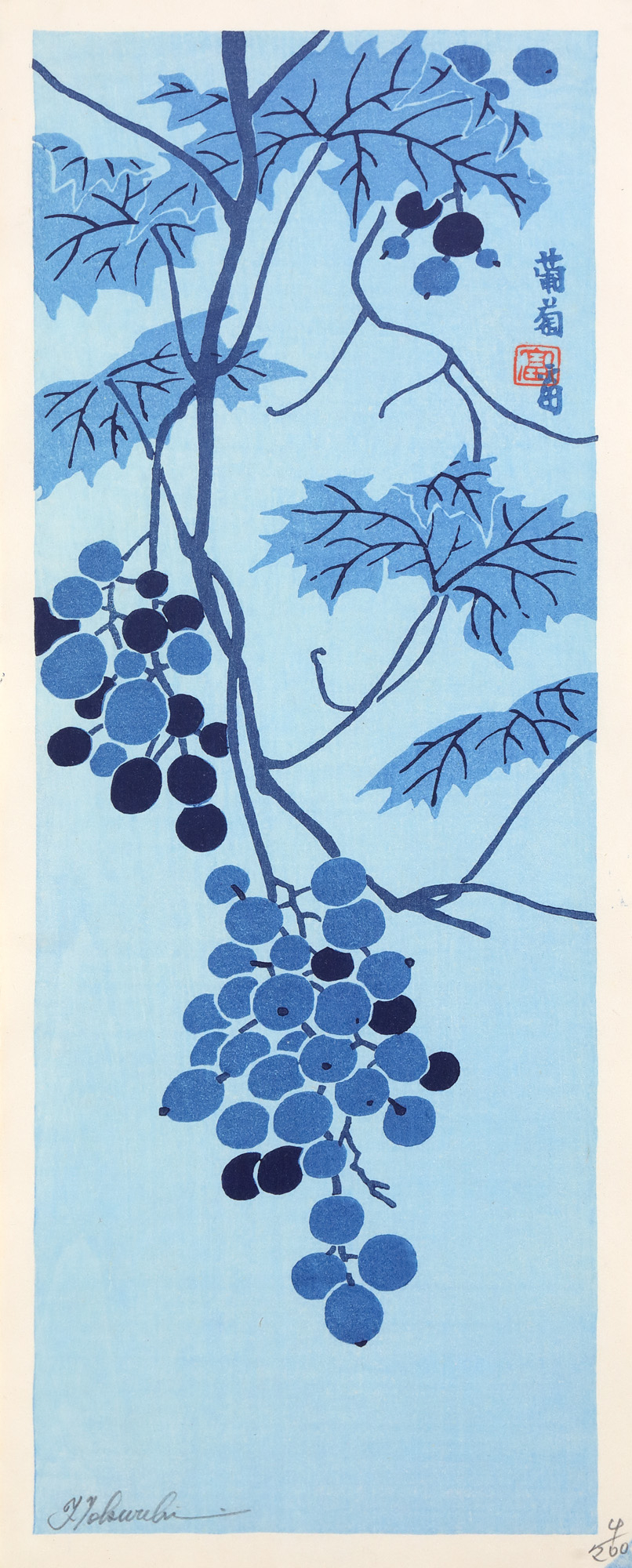 Vine