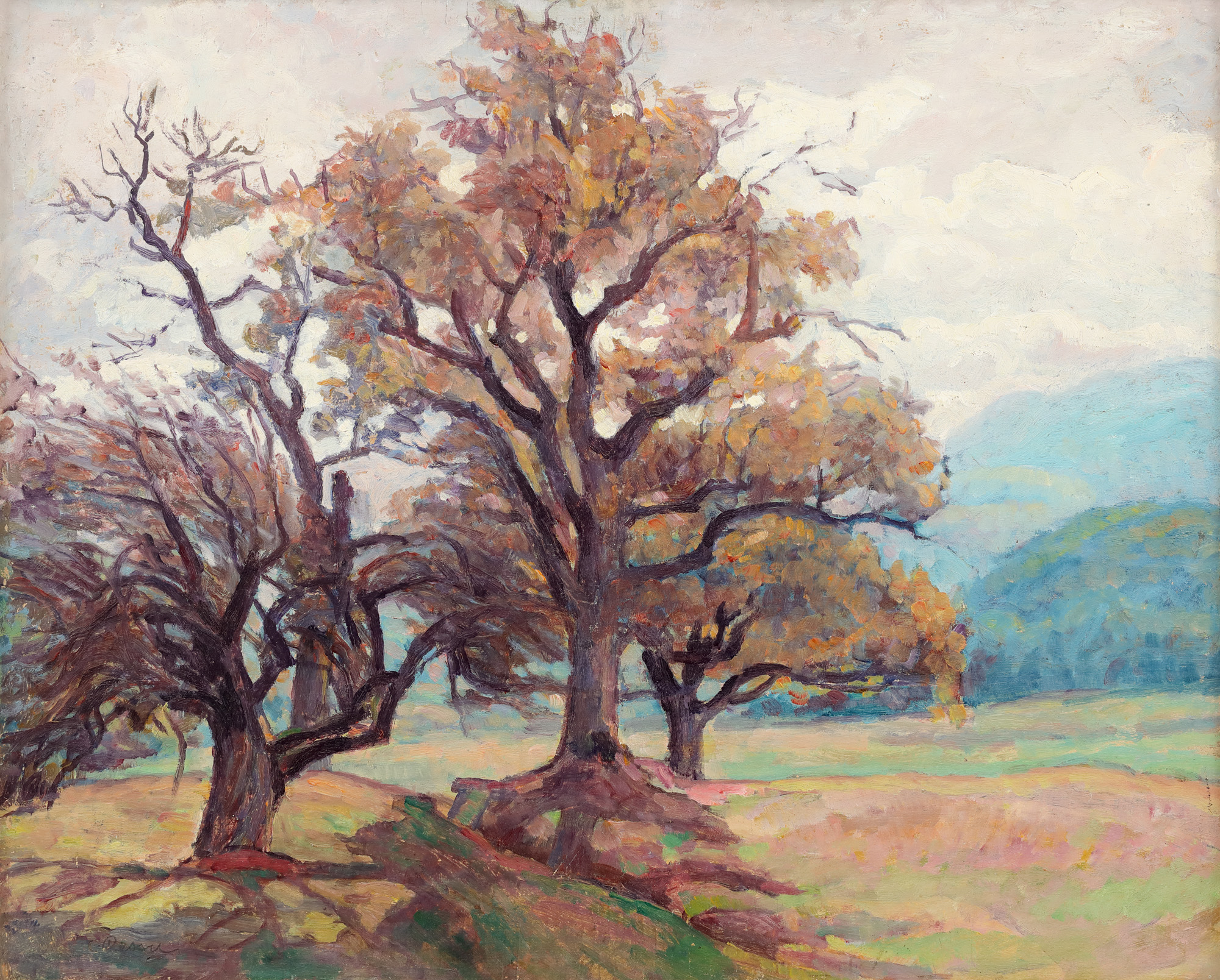 Morning at Vlaici